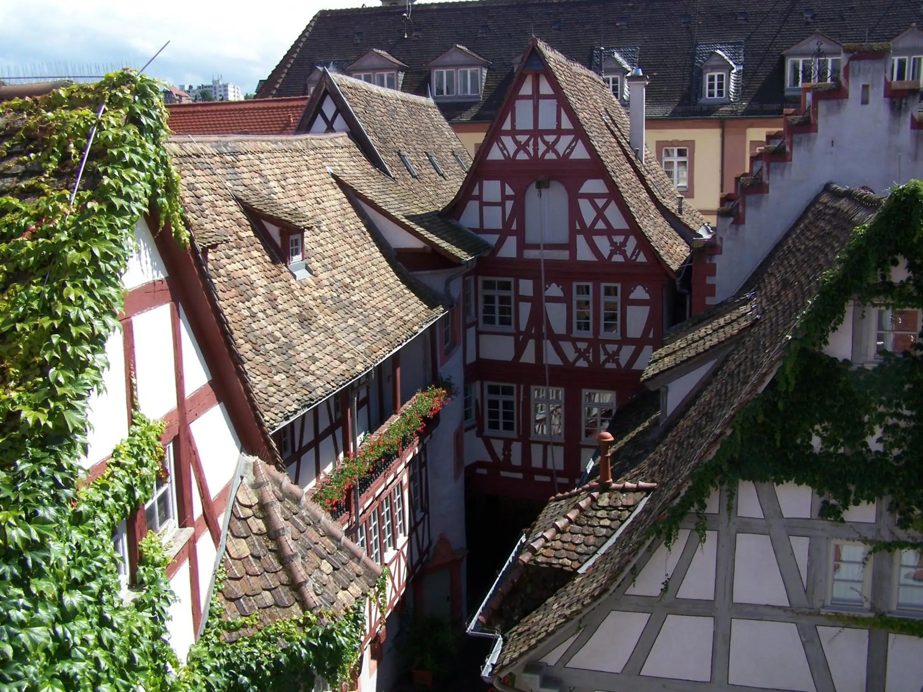 Double or Twin Room with Private Bathroom - single occupancy in Steinhäuser Hof Double or Twin Room with Private Bathroom - single occupancy in Steinhäuser Hof