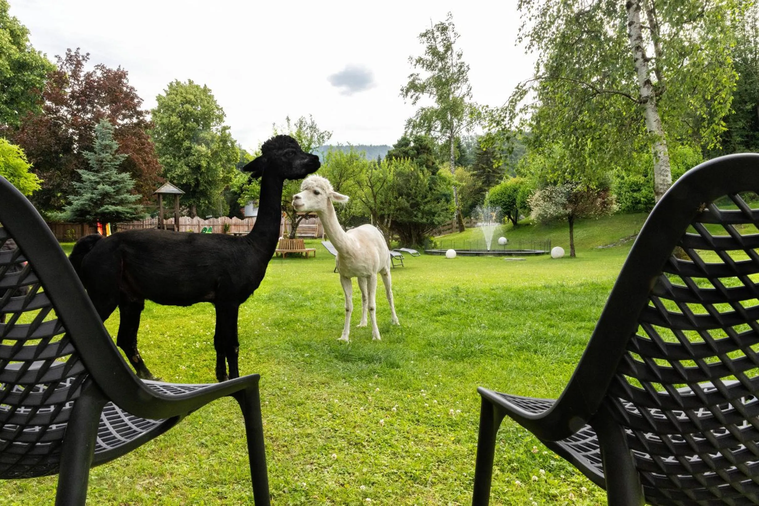 Garden in Sporthotel Wilder Kaiser