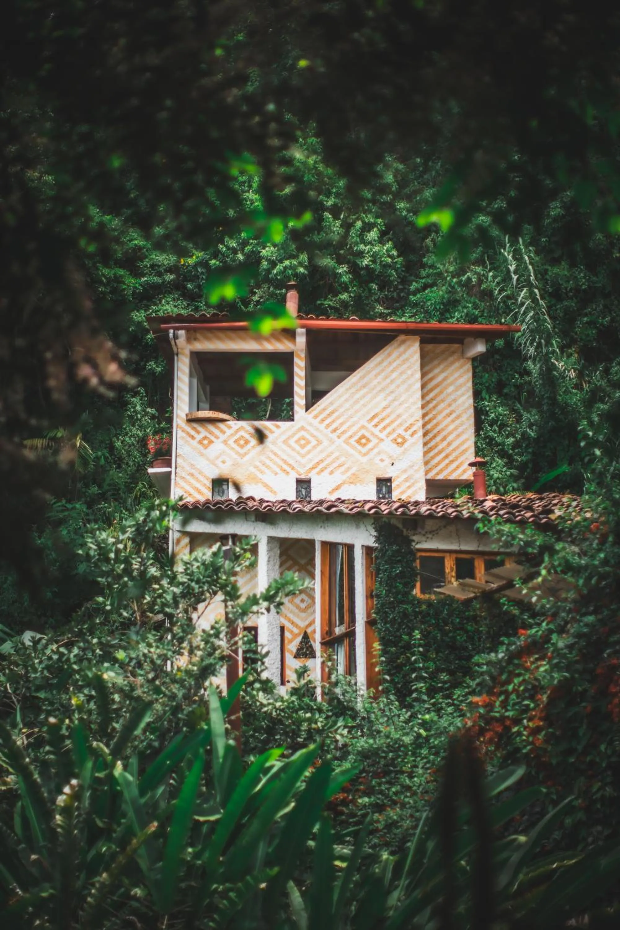 View (from property/room) in Lush Atitlán