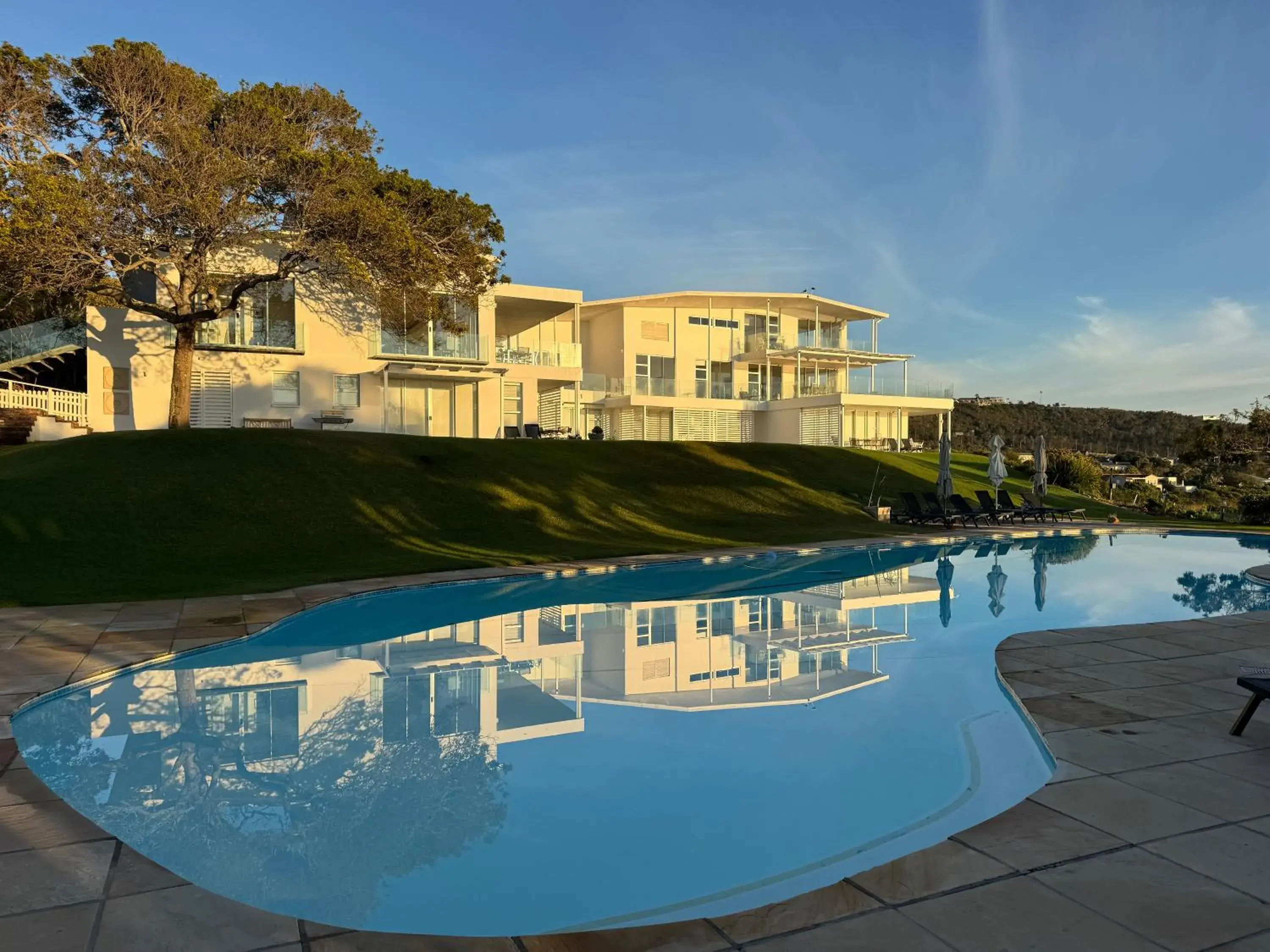 No1 Sangaree No1 Sangaree
