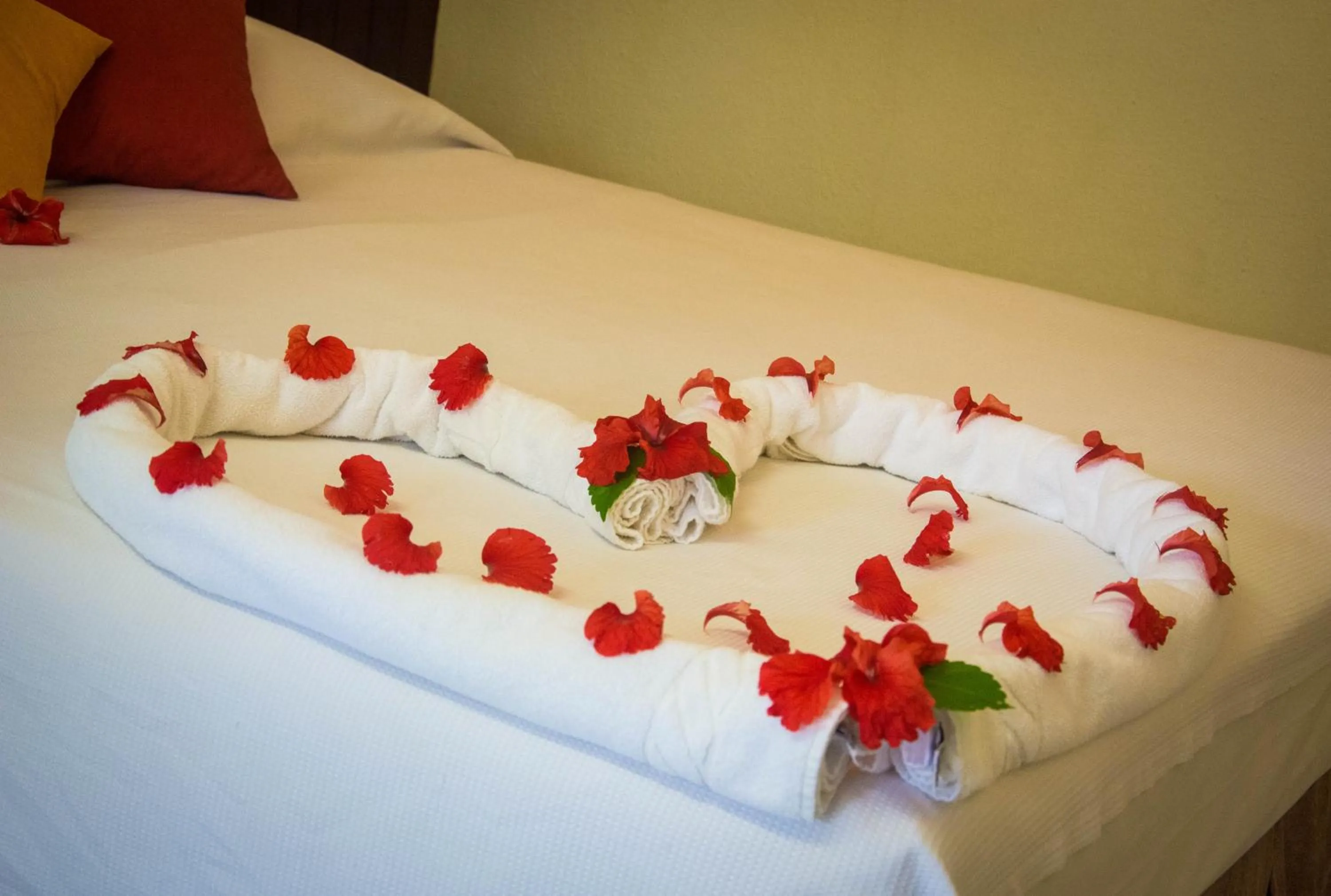 Decorative detail, Bed in Hotel Aconchego Porto de Galinhas