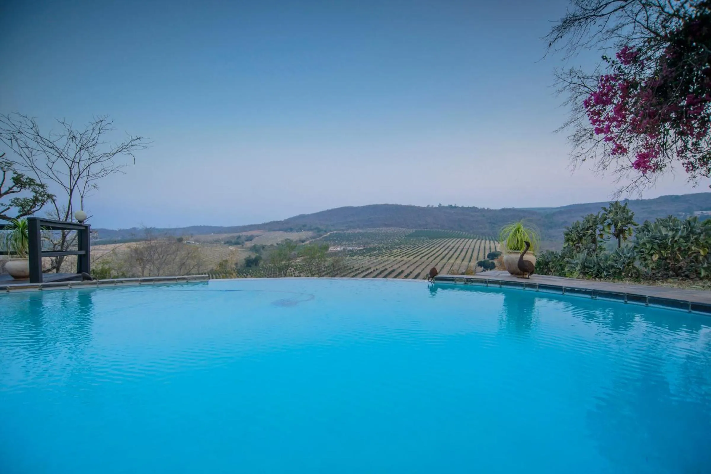Swimming pool in Abangane Guest Lodge