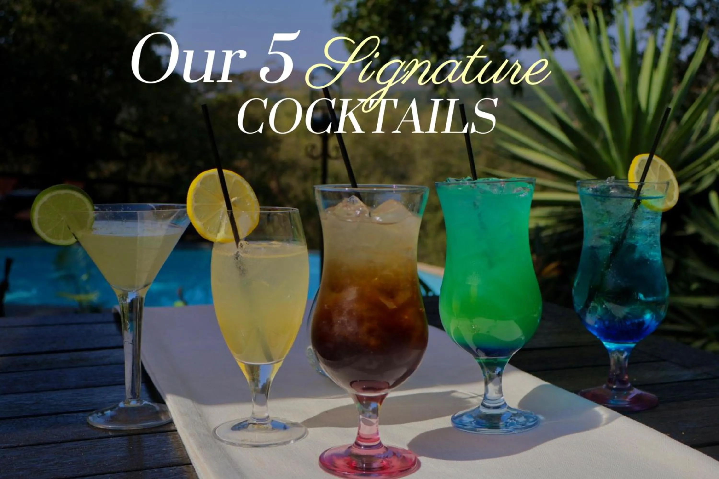 Alcoholic drinks in Abangane Guest Lodge