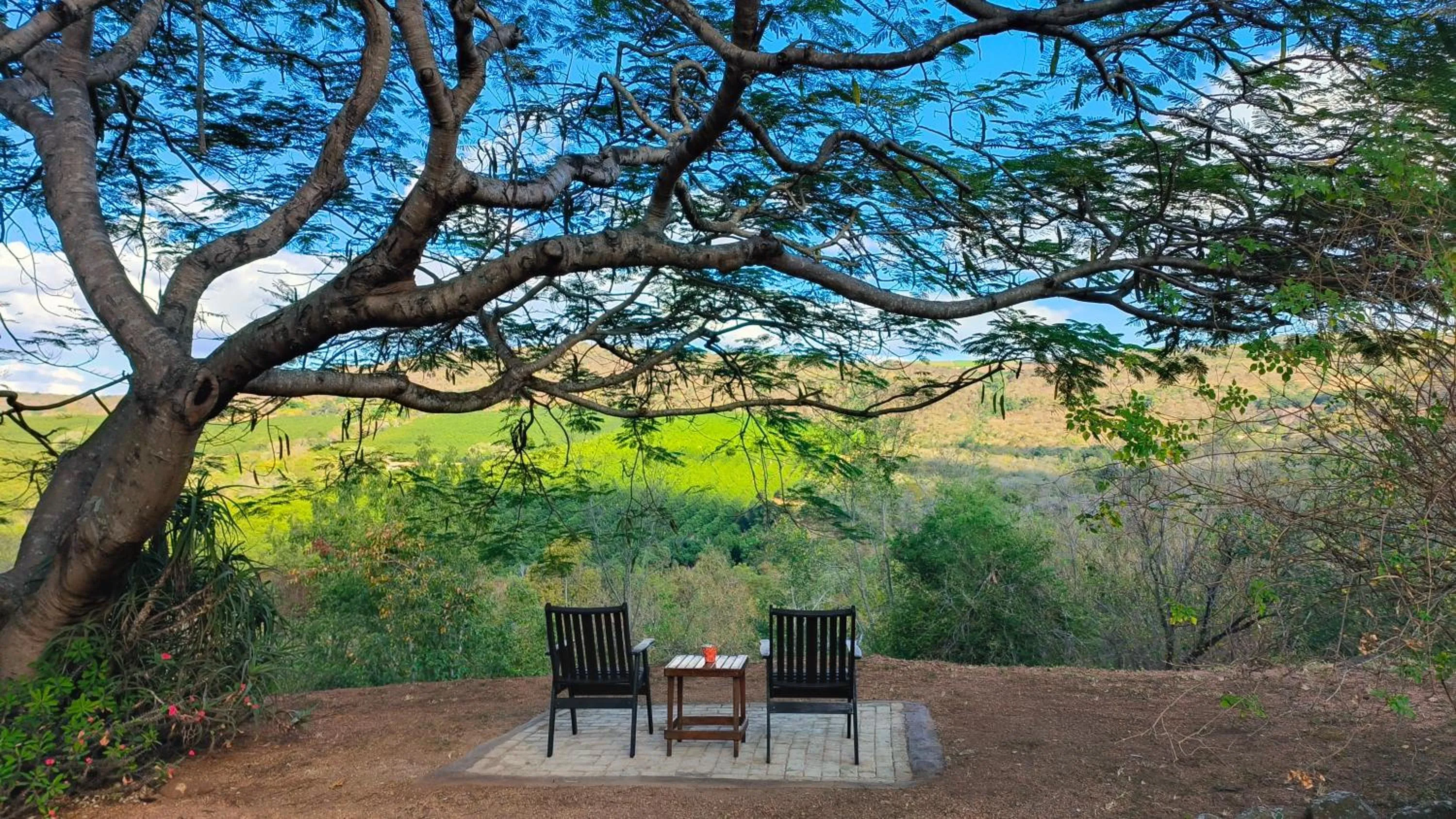 Garden in Abangane Guest Lodge