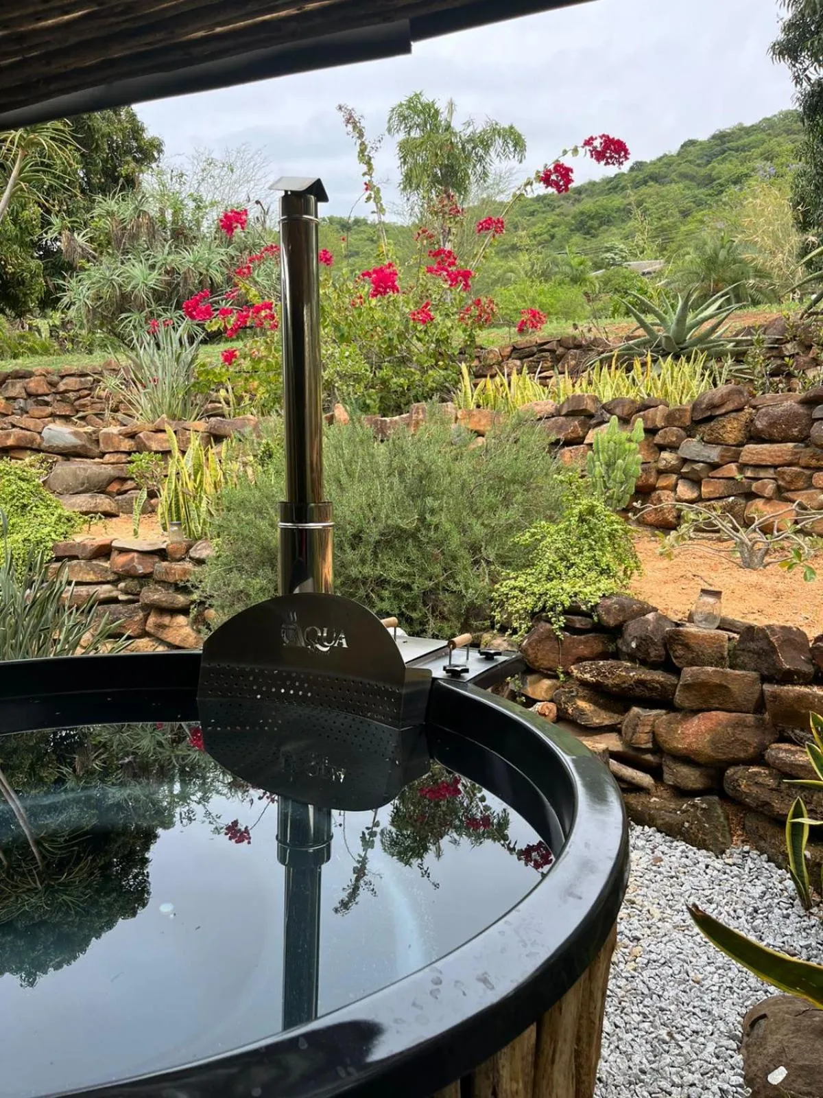 Natural landscape in Abangane Guest Lodge