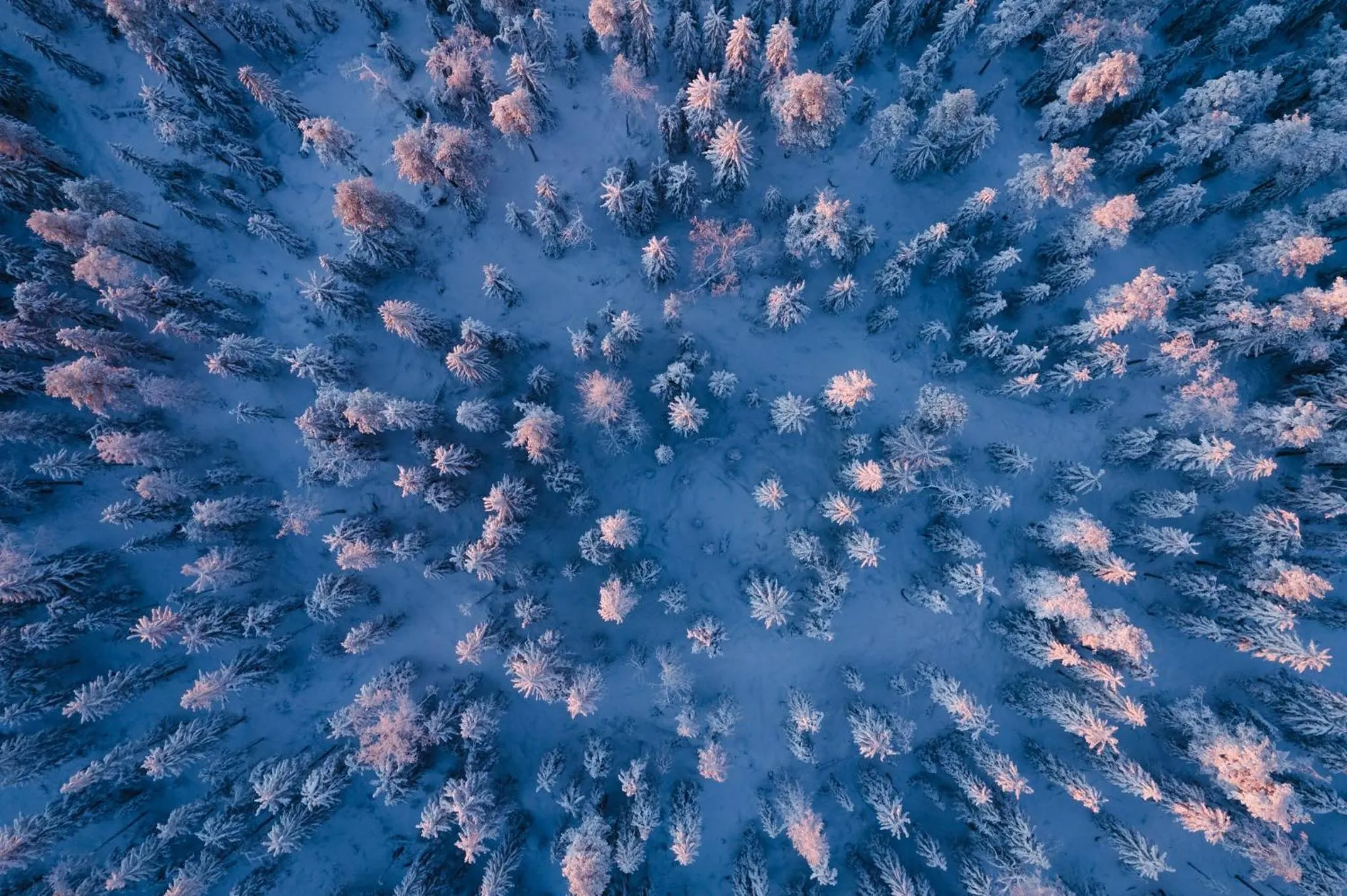 Winter in Break Sokos Hotel Tahko