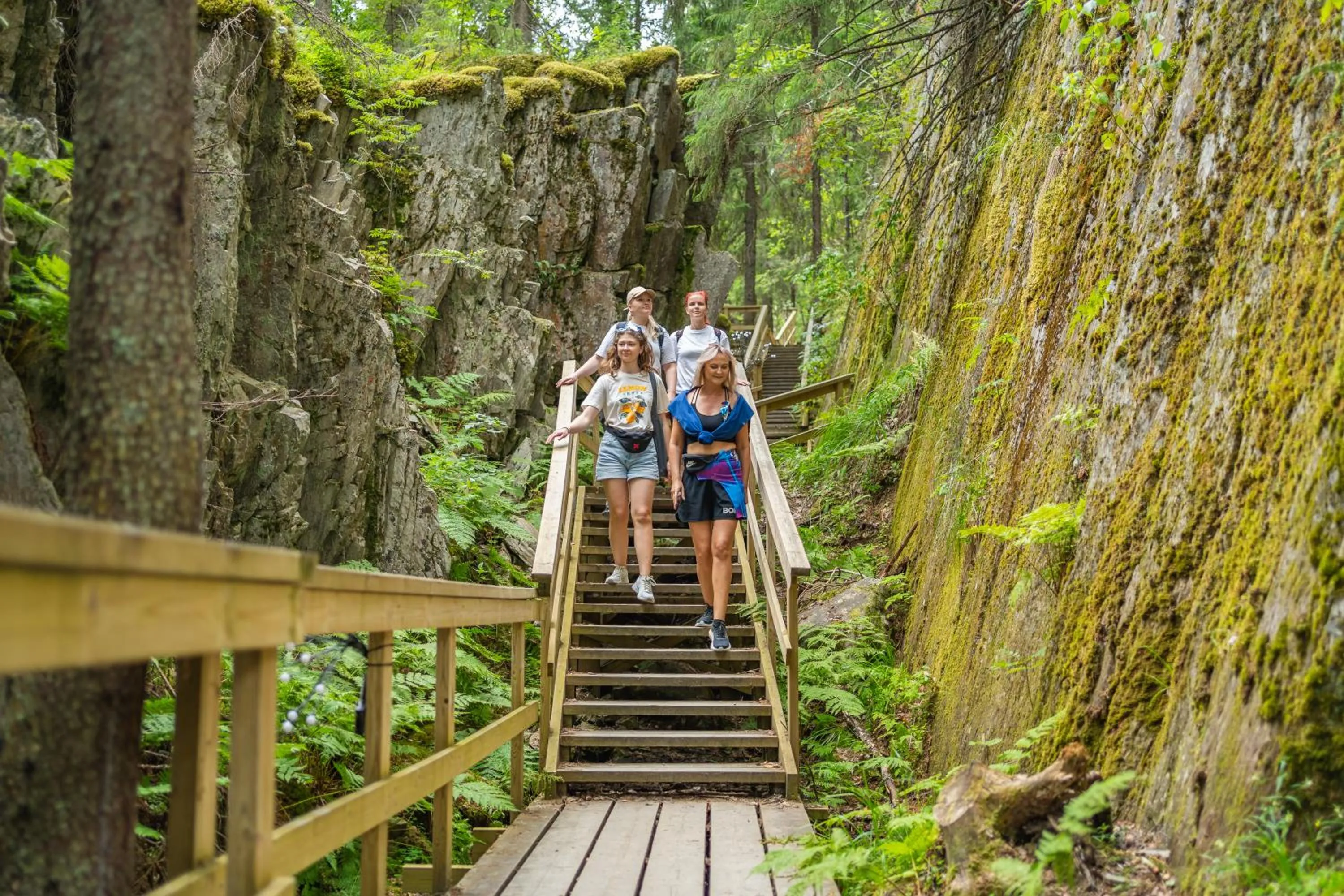 Natural landscape in Break Sokos Hotel Tahko