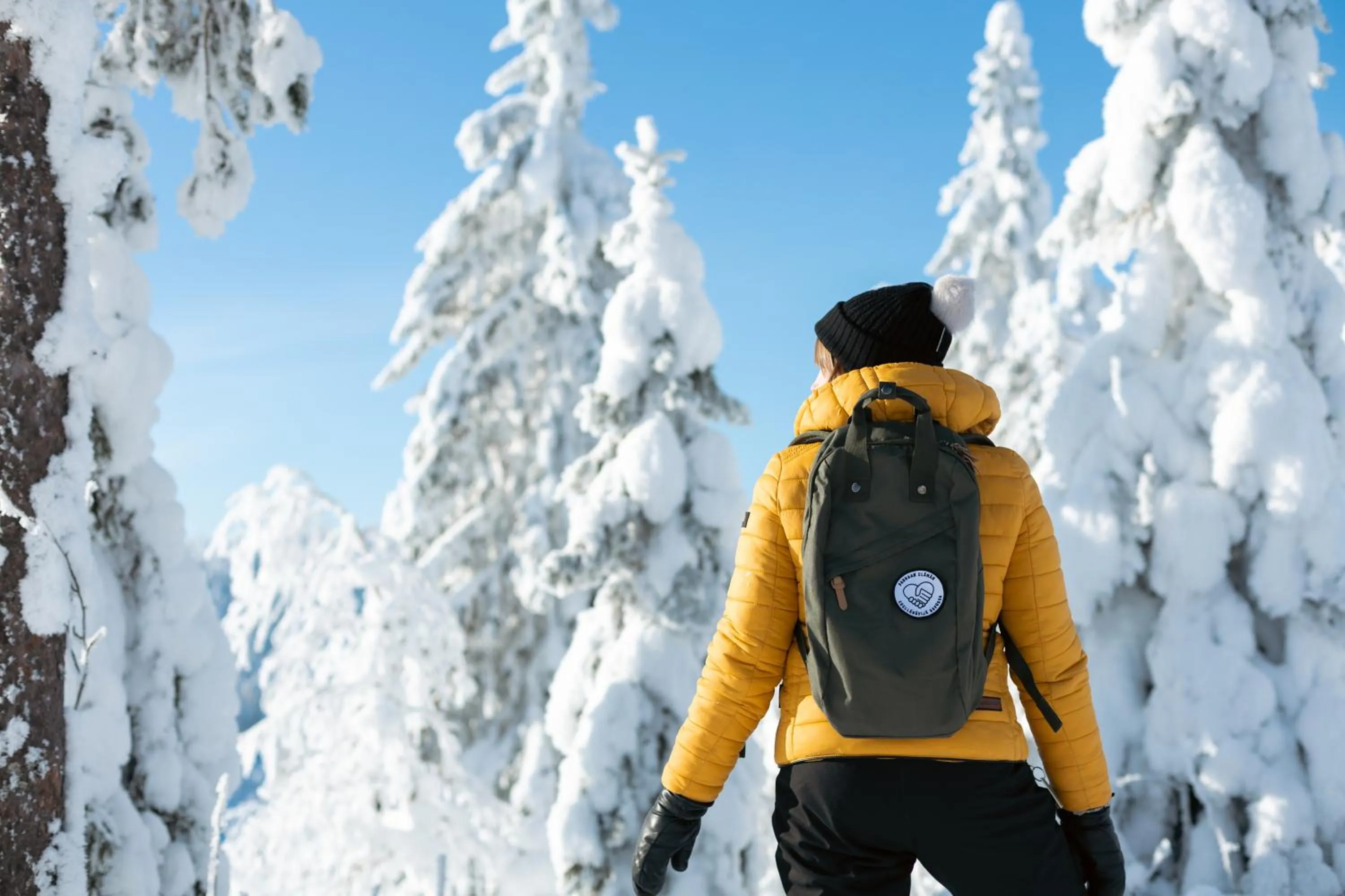 Winter in Break Sokos Hotel Tahko