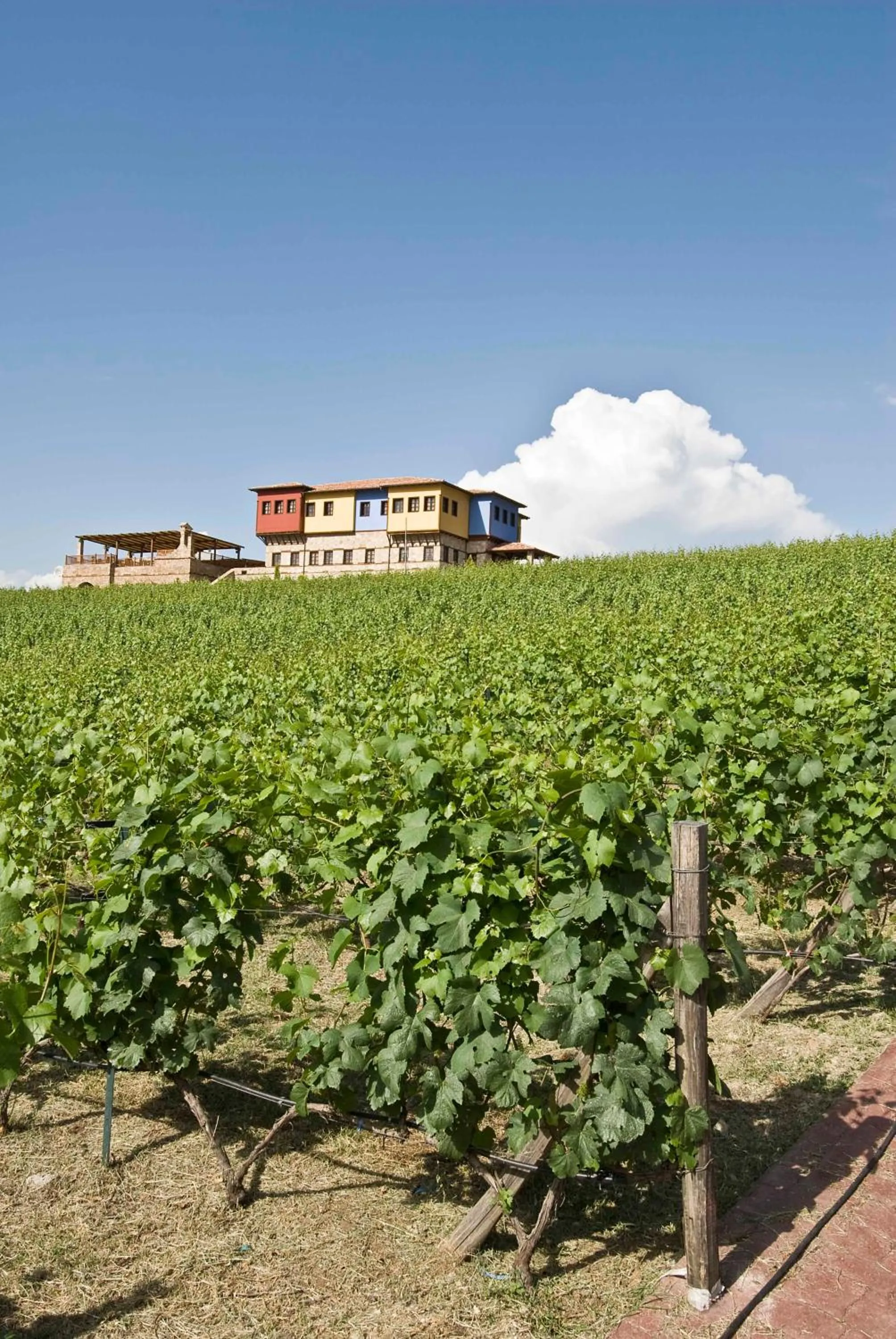 View (from property/room) in Estate Kalaitzis