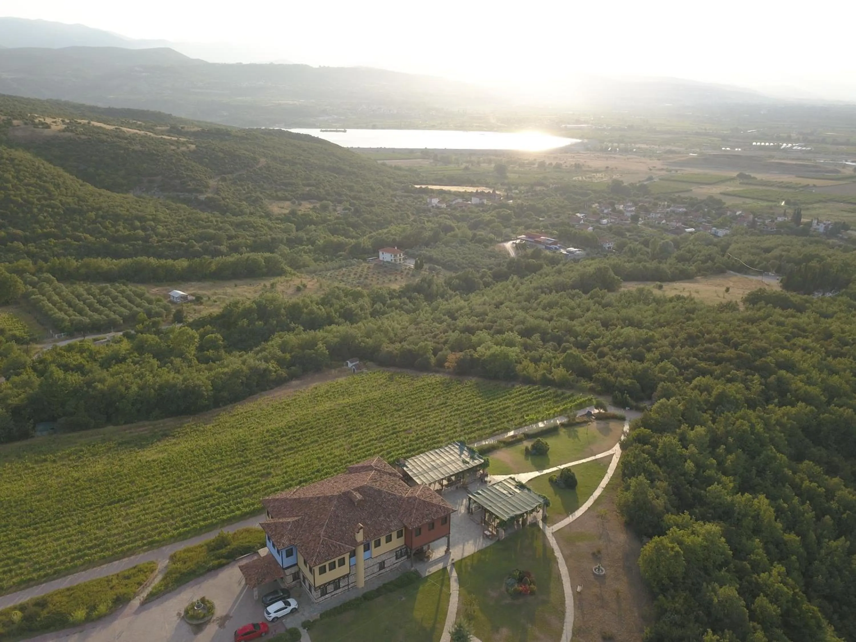 Bird's eye view in Estate Kalaitzis