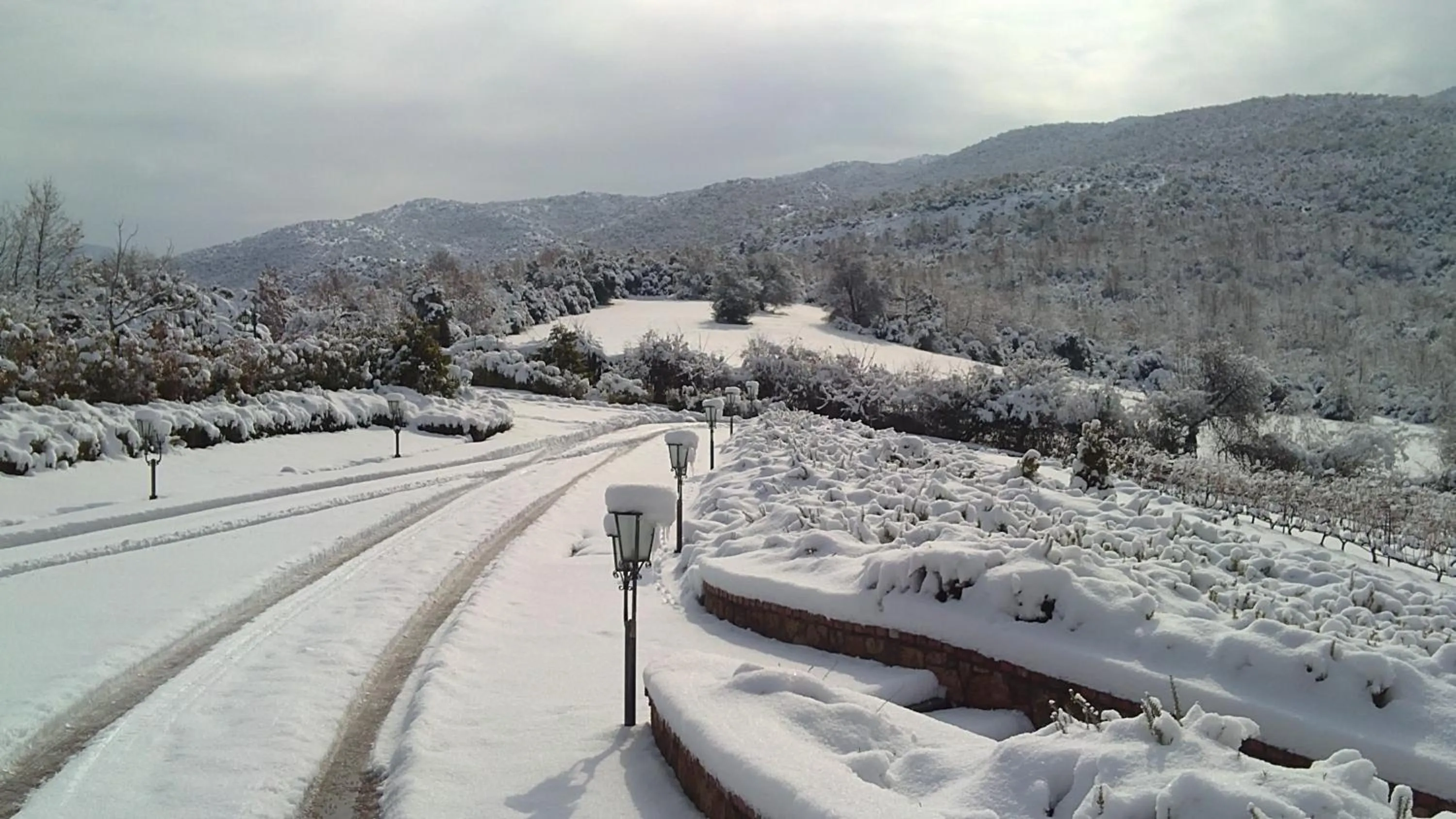 Day in Estate Kalaitzis