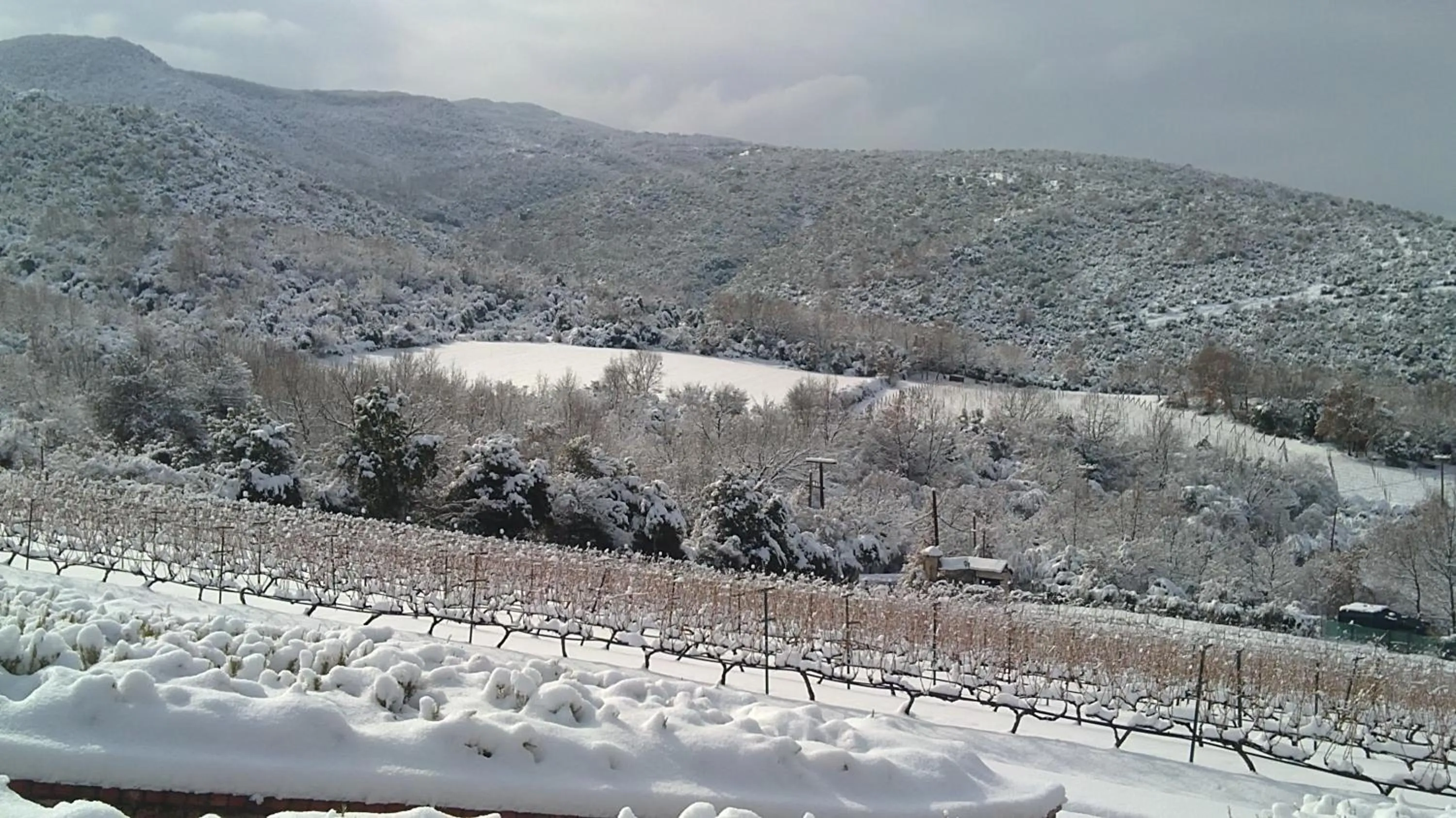 Natural landscape in Estate Kalaitzis