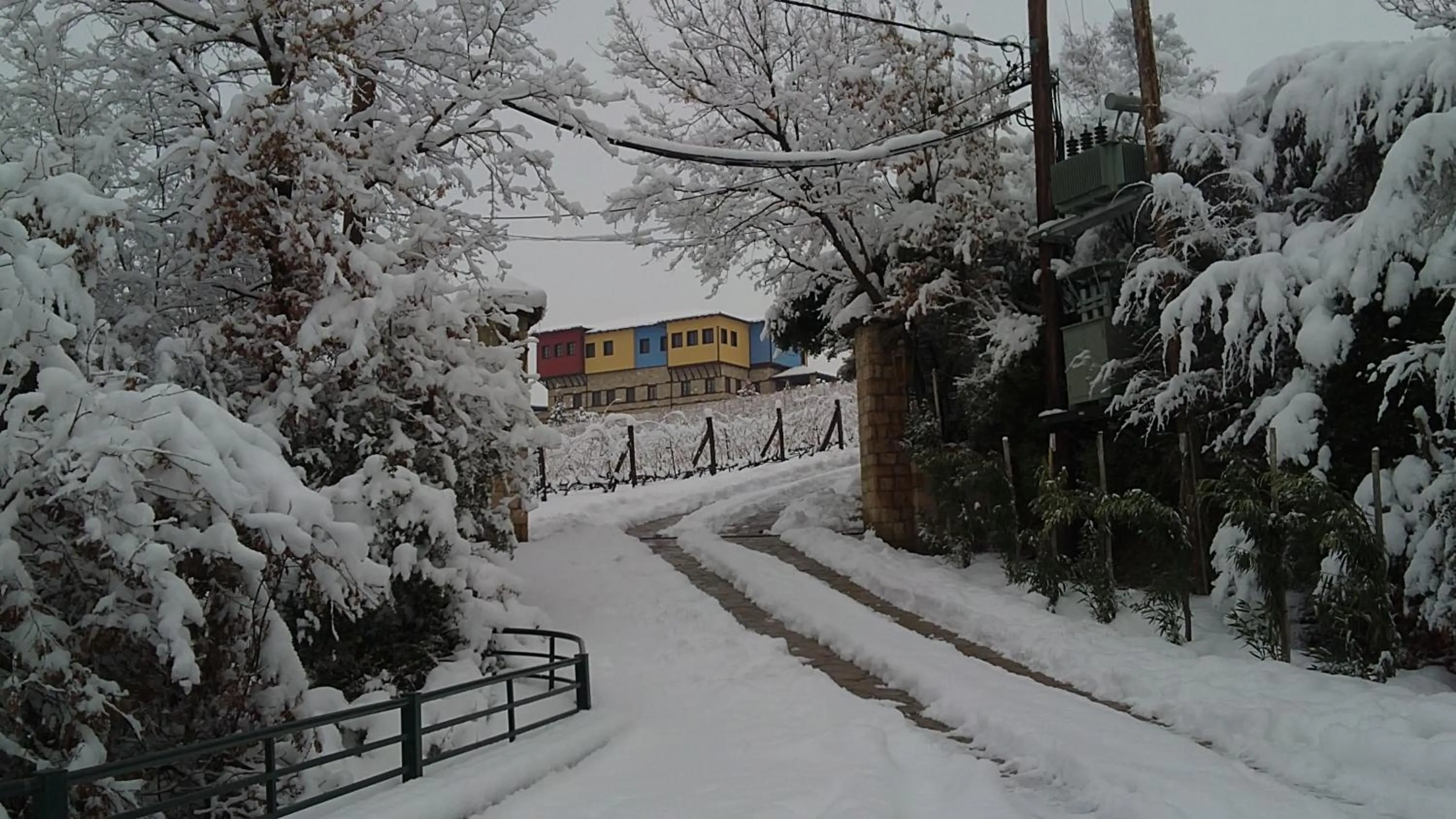 Natural landscape in Estate Kalaitzis