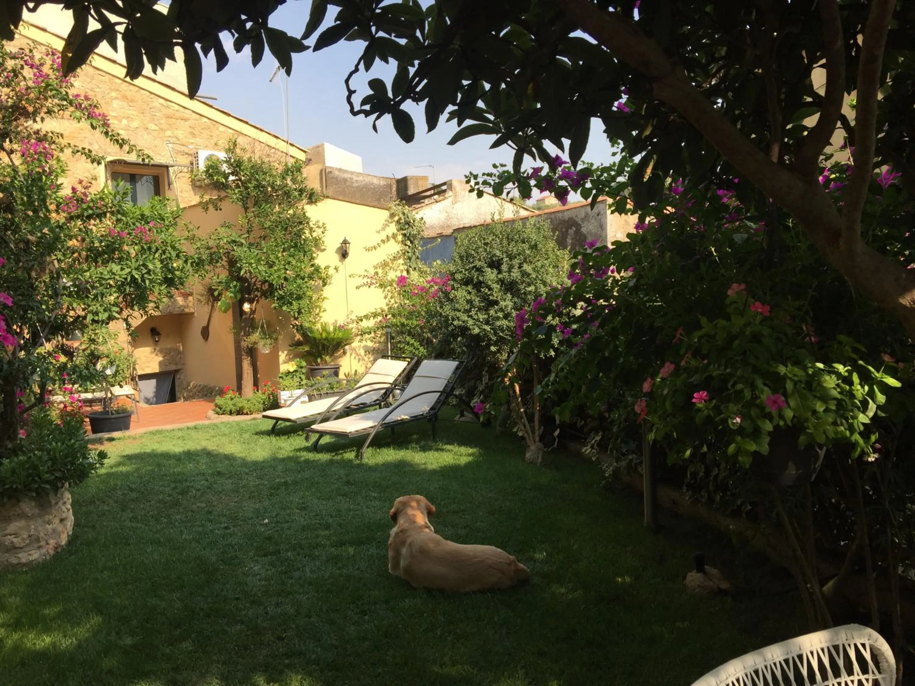 Garden in Giardino delle Zagare