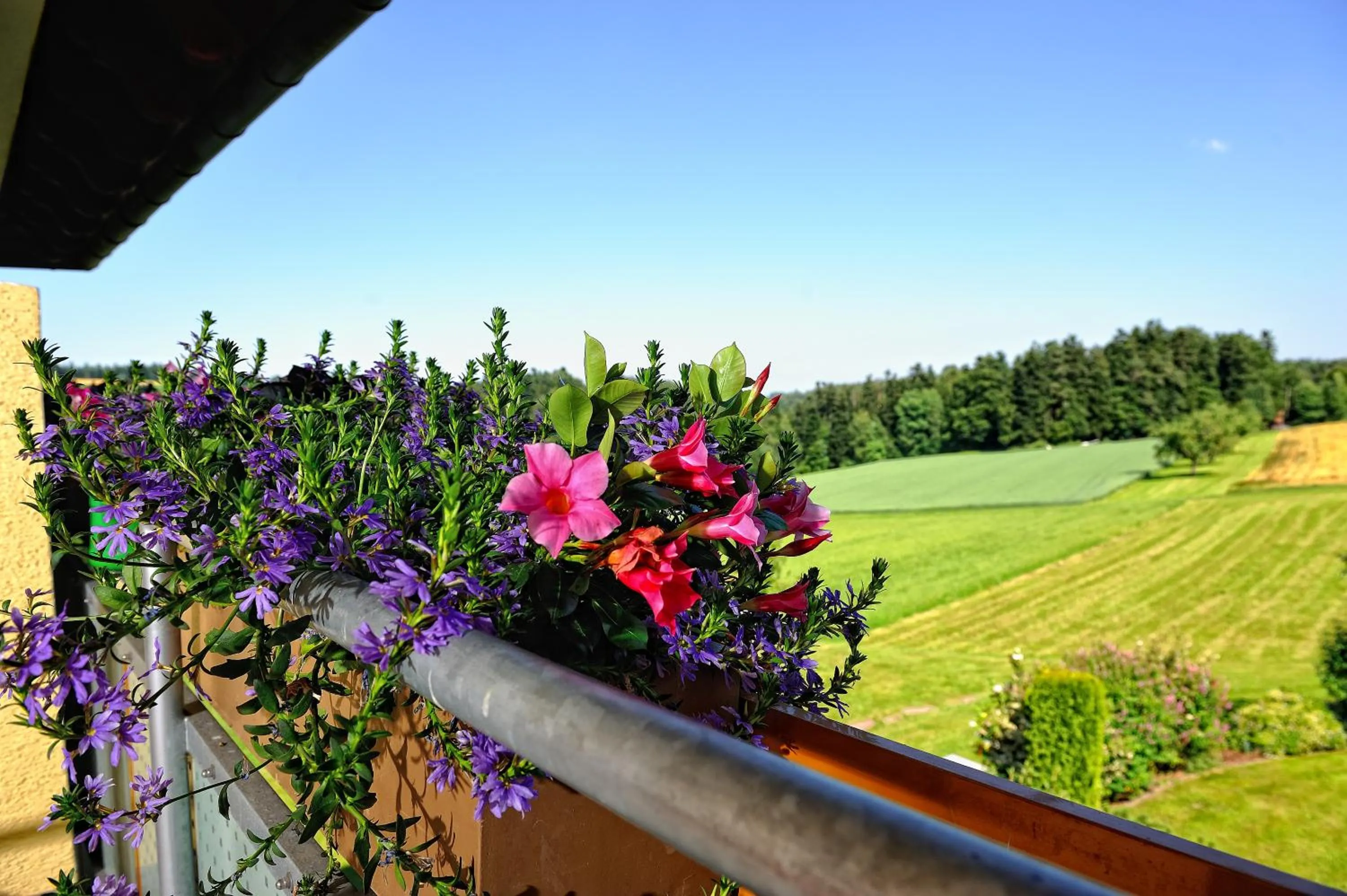 Spring in Landhotel Talblick