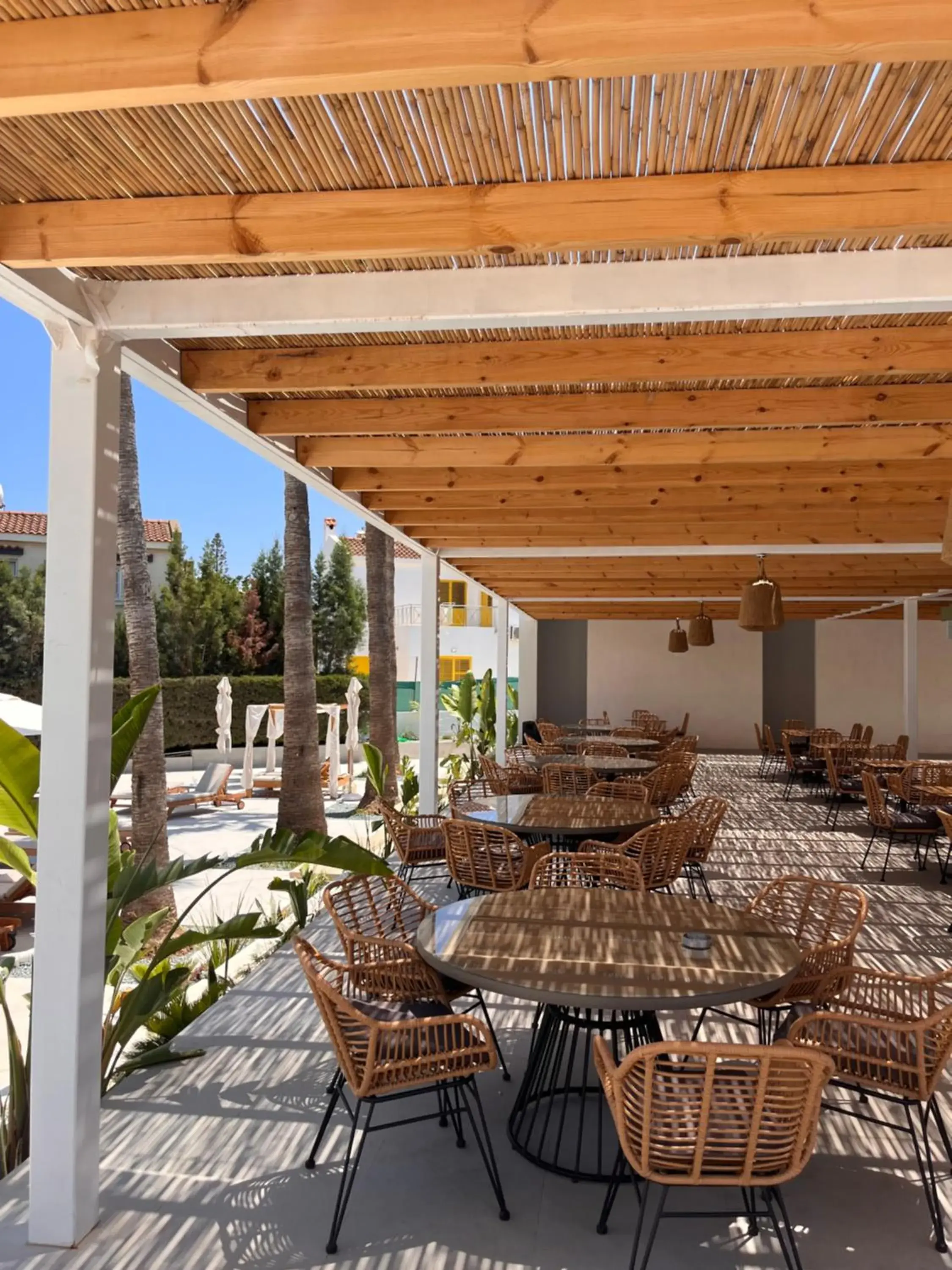 Restaurant/places to eat in Toxotis Hotel Restaurant/places to eat in Toxotis Hotel