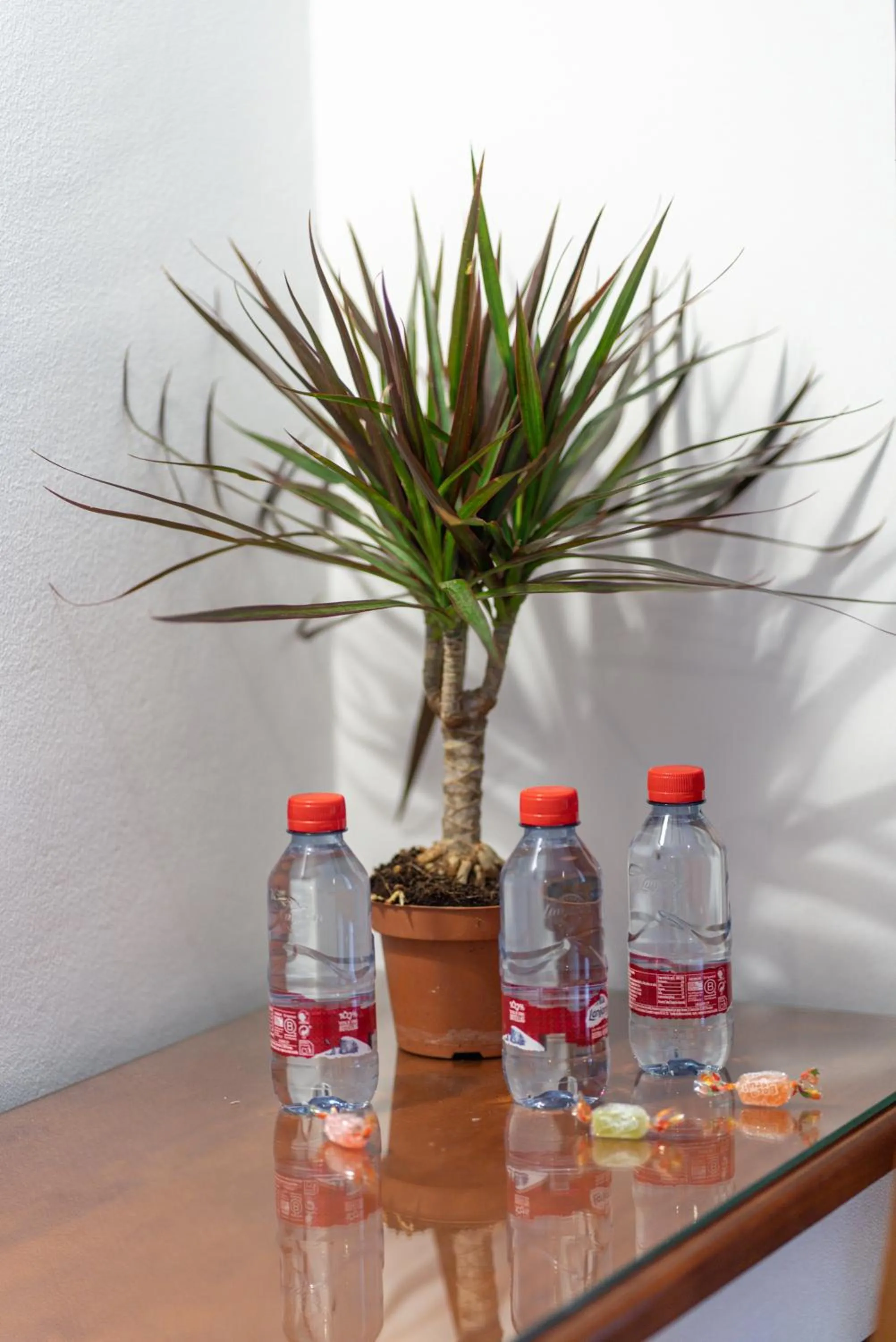 Decorative detail in Hotel Piedra Paloma