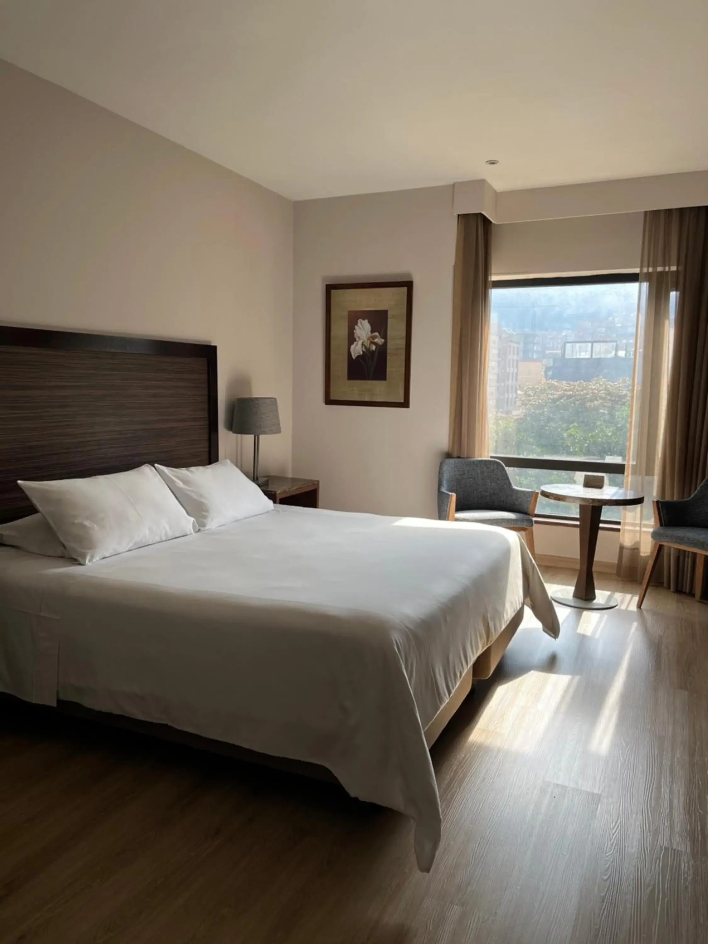 Bedroom, Bed in Hotel Morrison Zona Rosa Bedroom, Bed in Hotel Morrison Zona Rosa