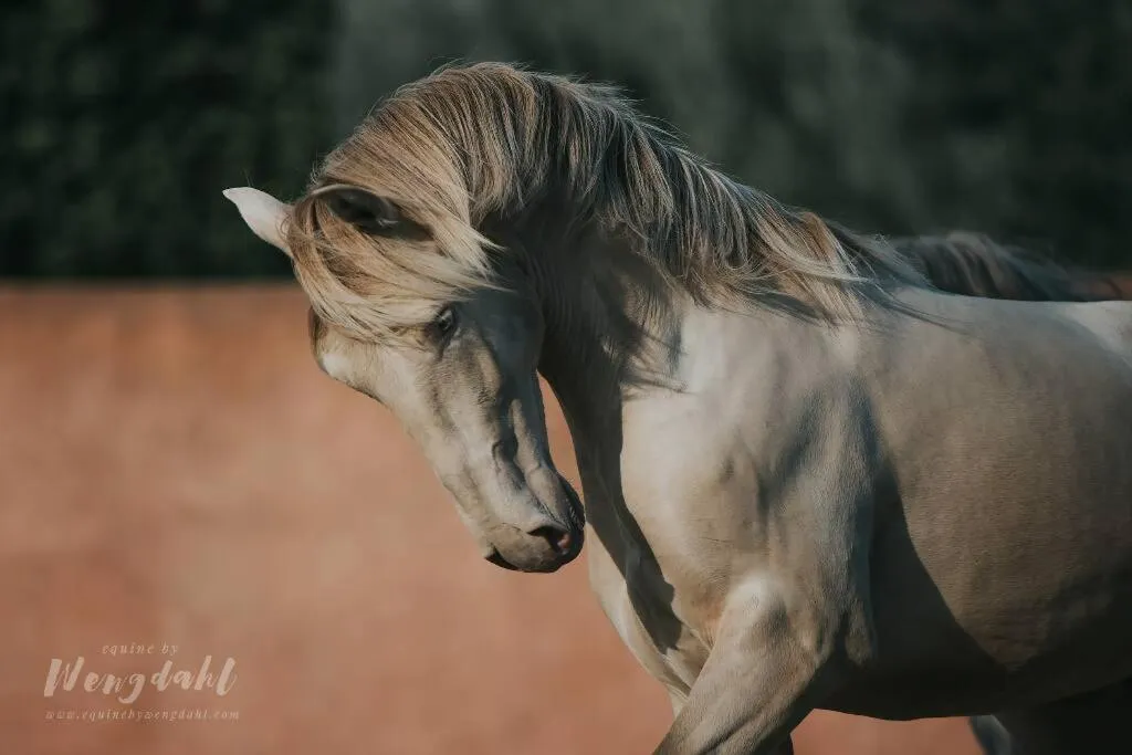 Property building in Mas d'Auzières