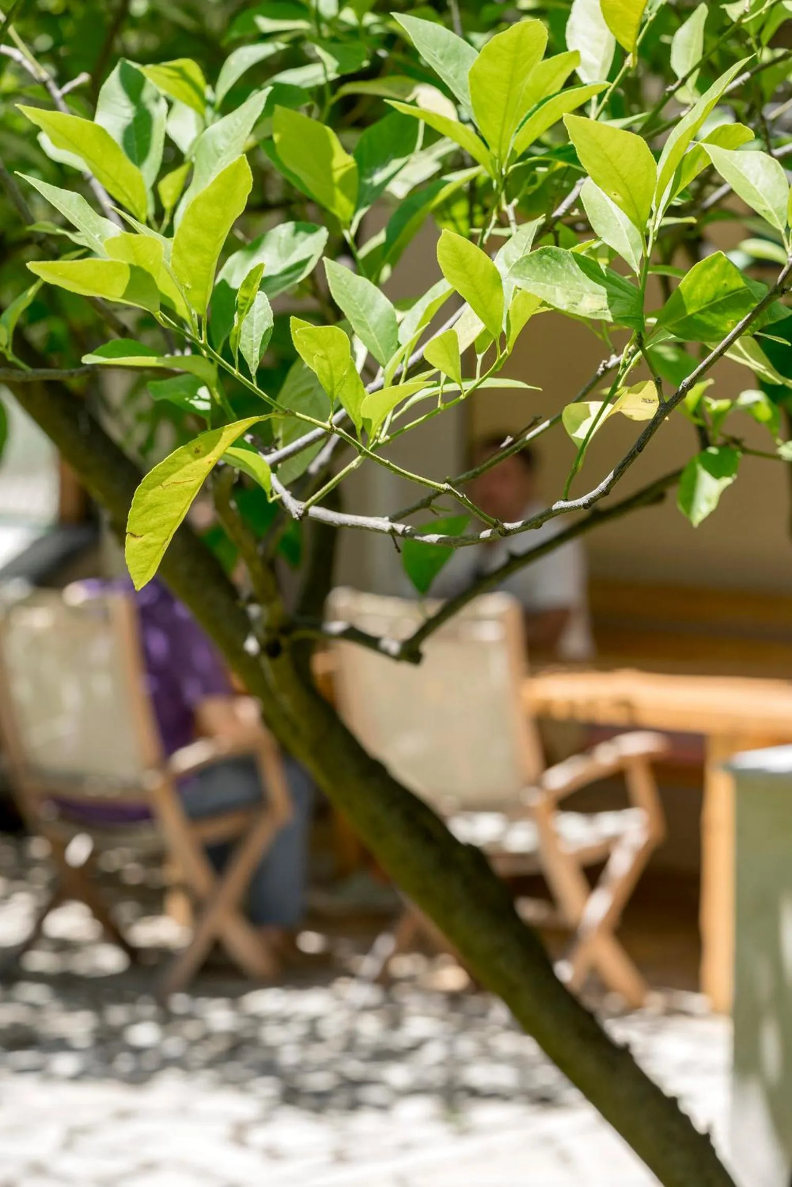 BBQ facilities in Valashouse