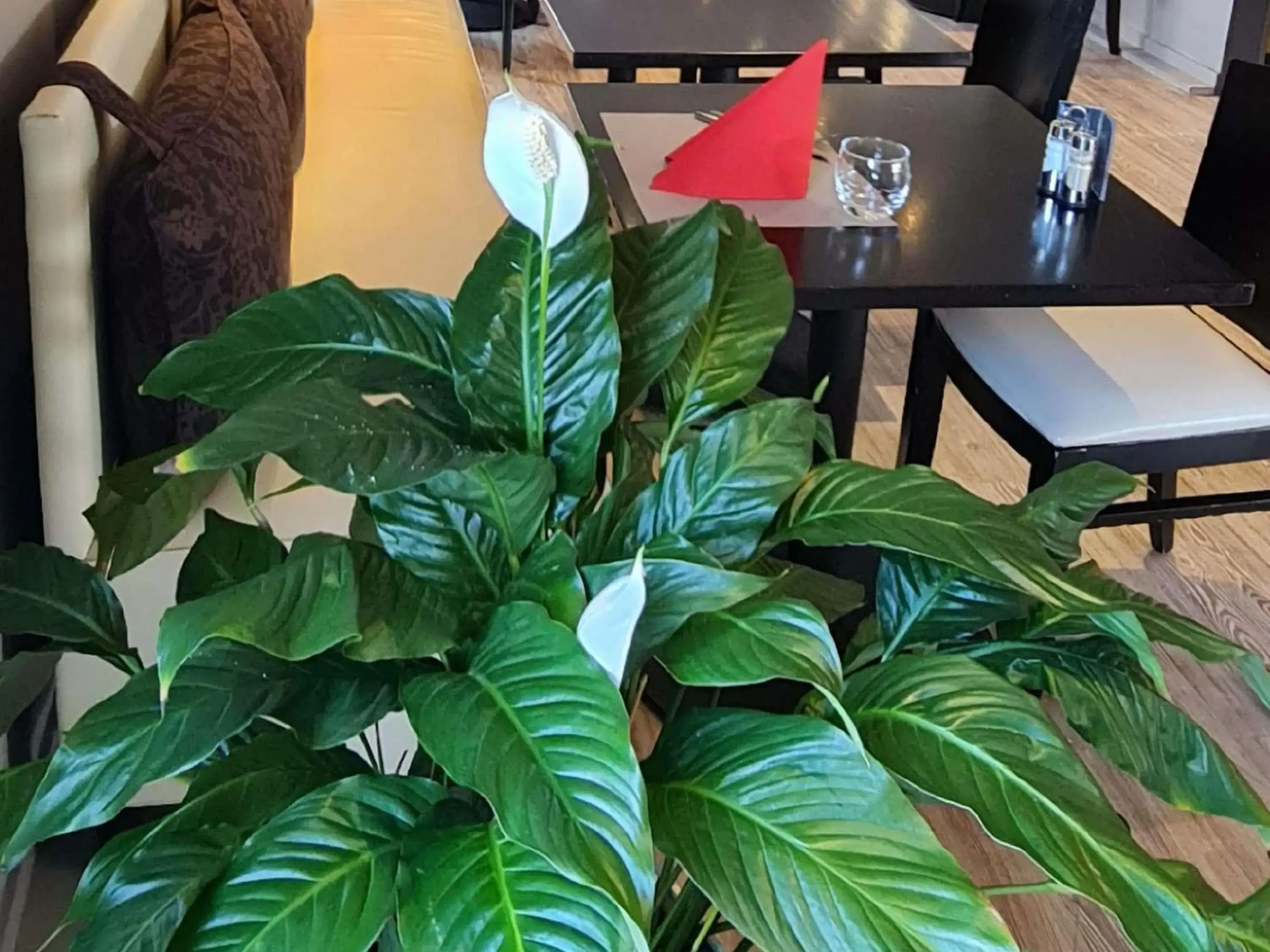 Property building in ibis Vannes Property building in ibis Vannes