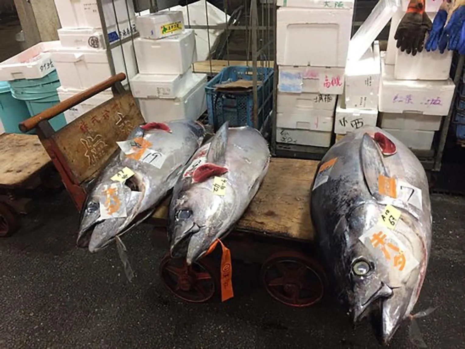 Nearby landmark in City Hotel Universal Studios Japan