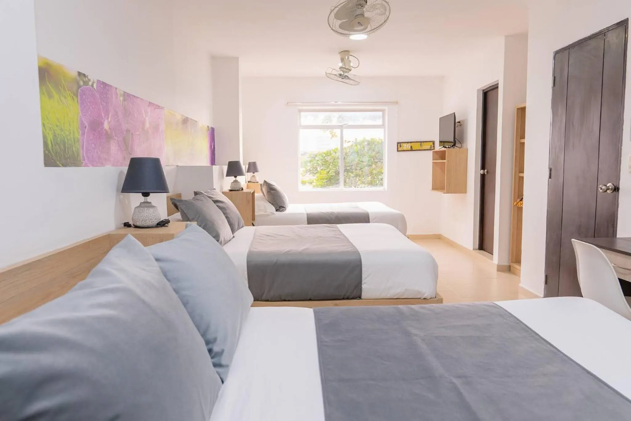 Basic Triple Room in Hotel Plataneras Plaza