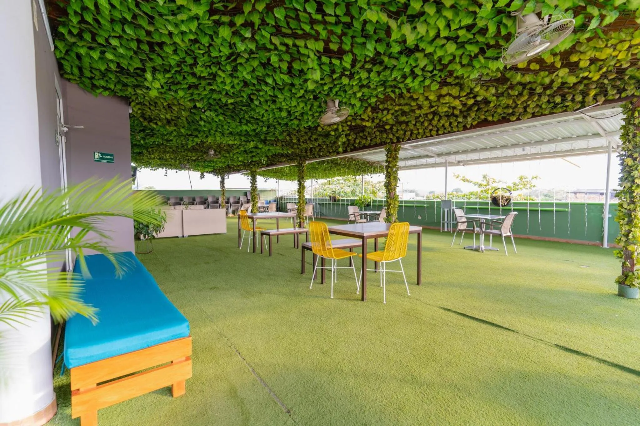 Balcony/Terrace in Hotel Plataneras Plaza