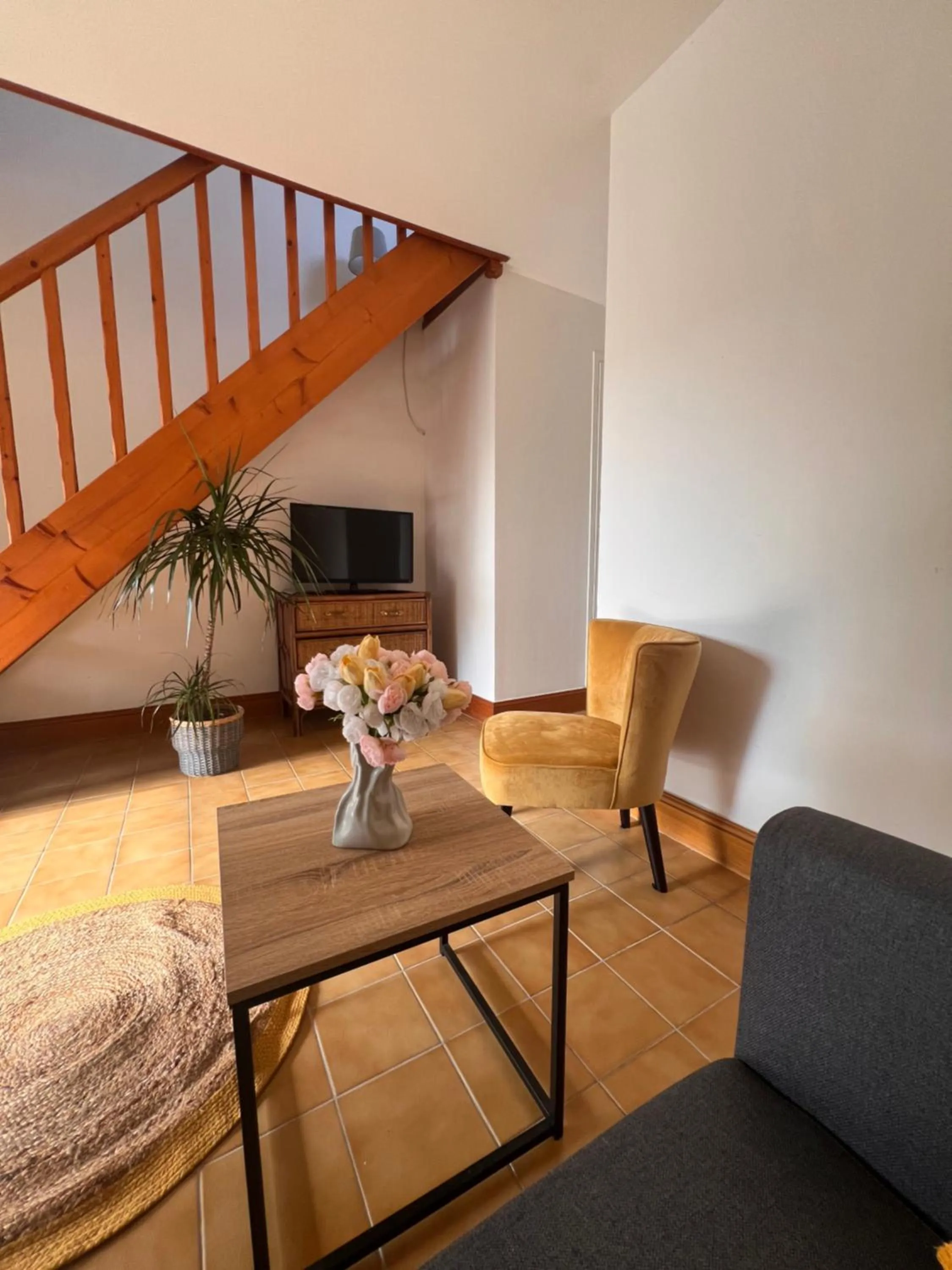 TV and multimedia in Golf Hotel de la Carte