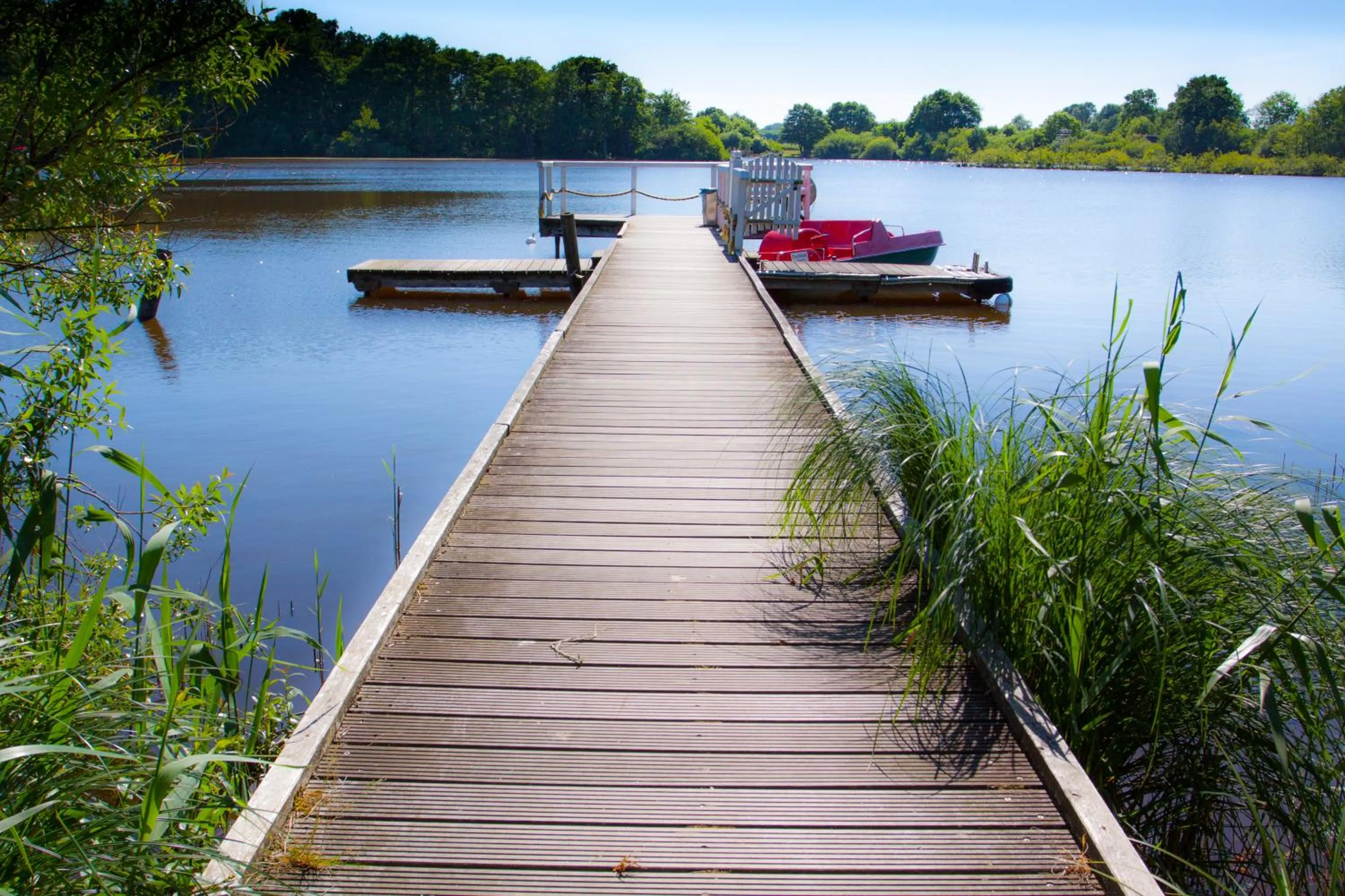 Natural landscape in Seeblick