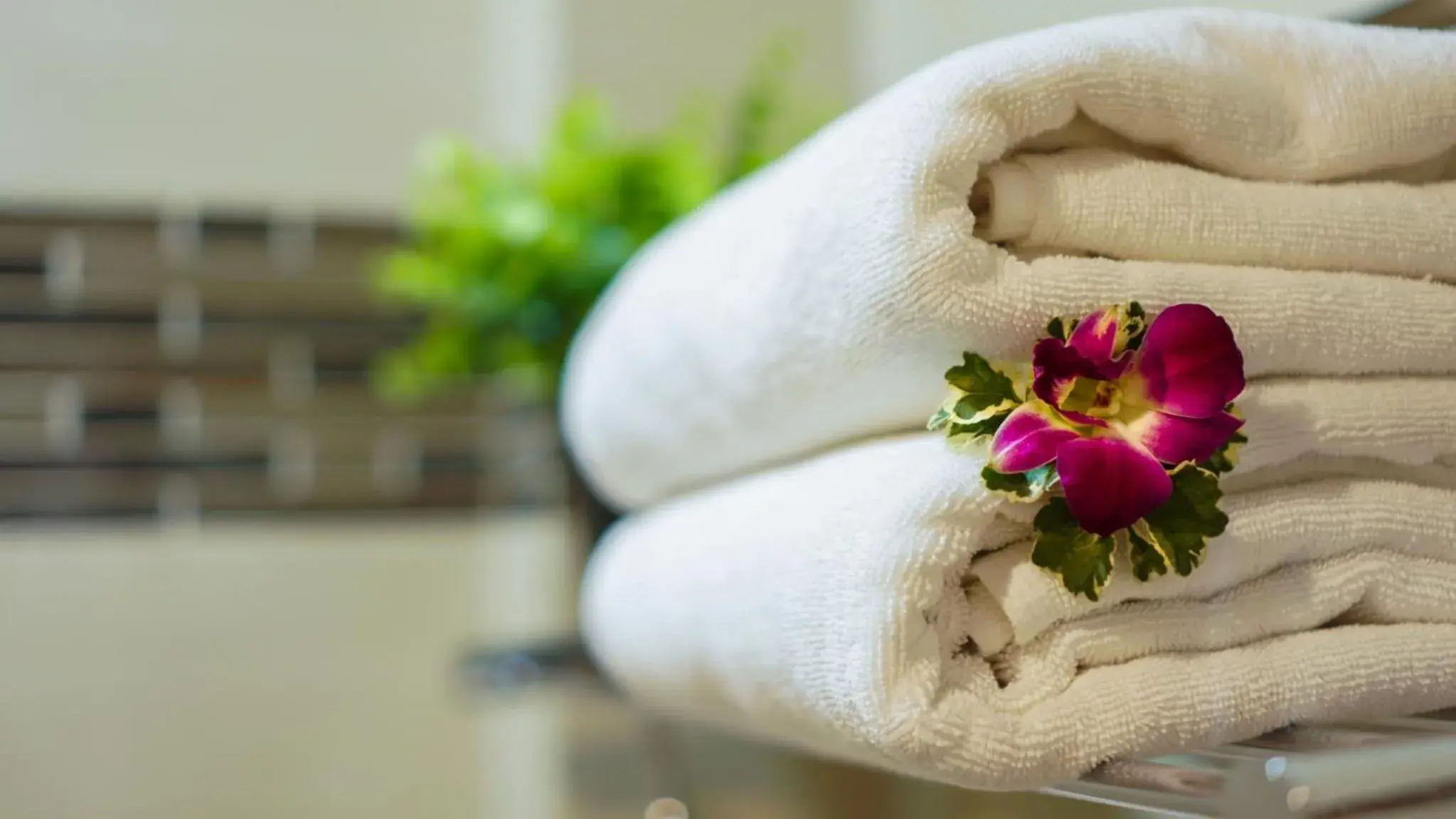 Grand Superior Seaview Double or Twin Room in Aonang Orchid Resort Grand Superior Seaview Double or Twin Room in Aonang Orchid Resort