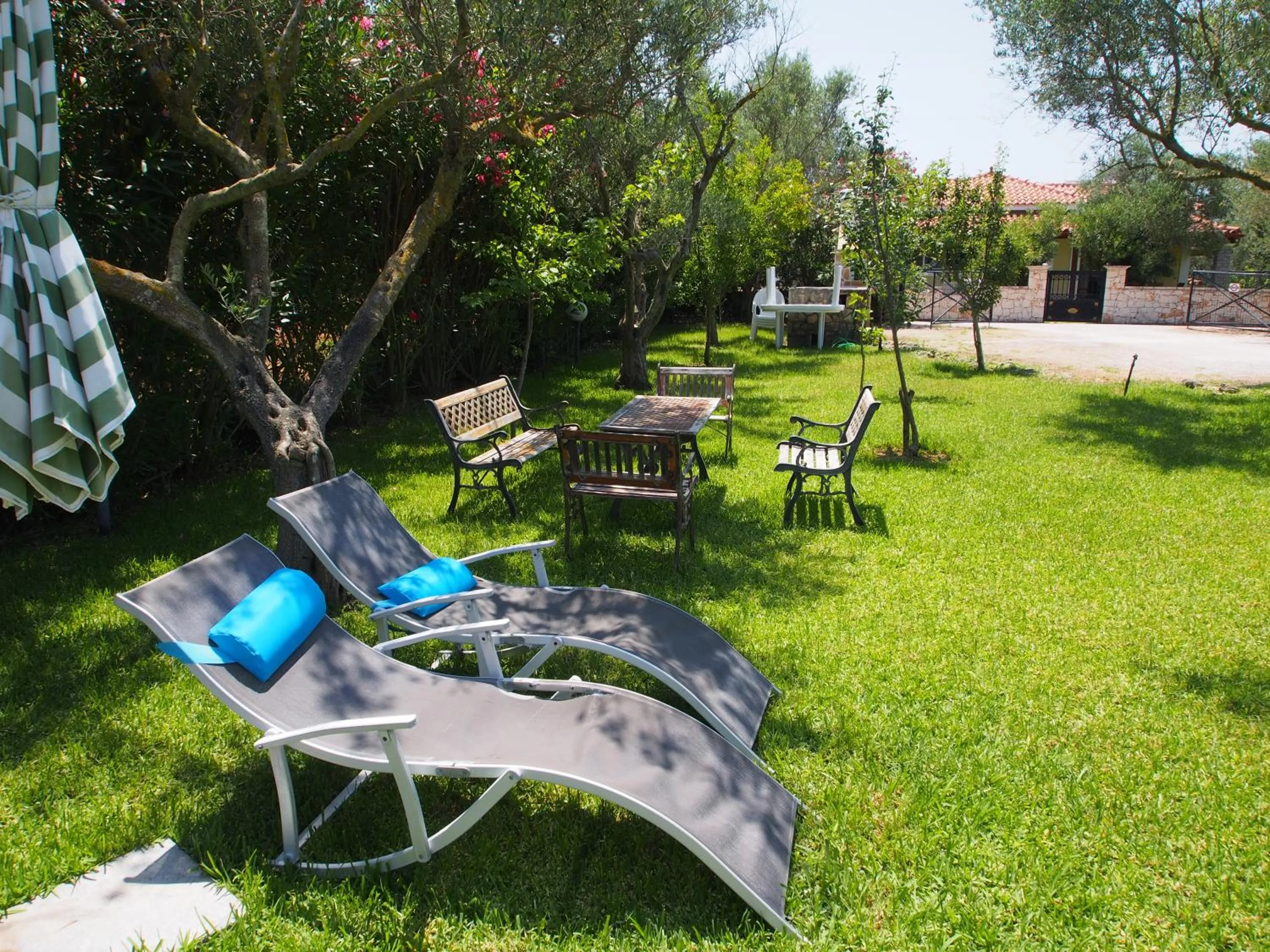 Garden in Studios Petra