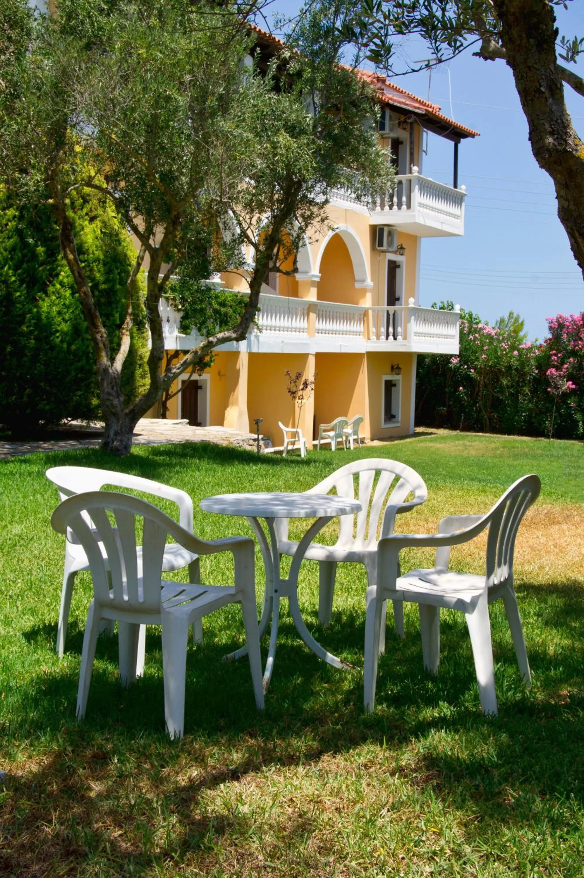 Garden in Studios Petra