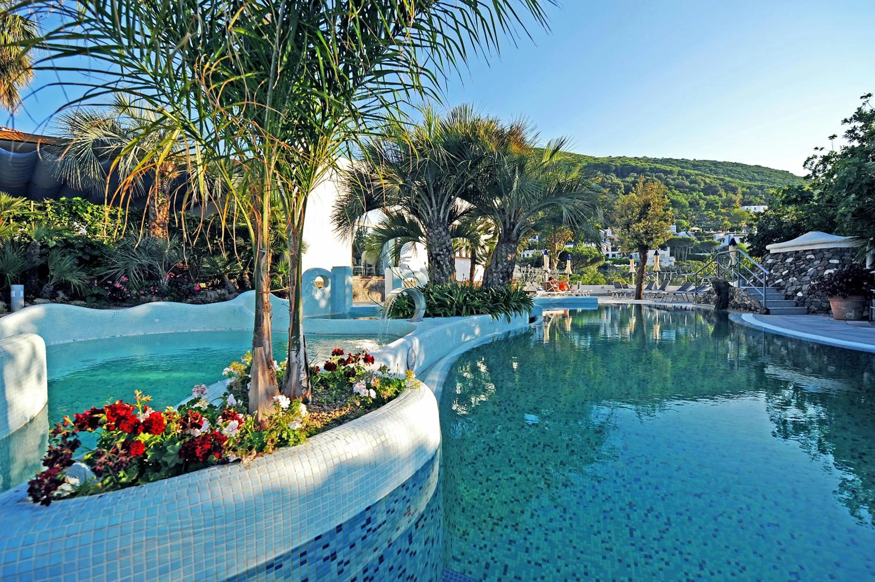 Swimming pool in Hotel Myage