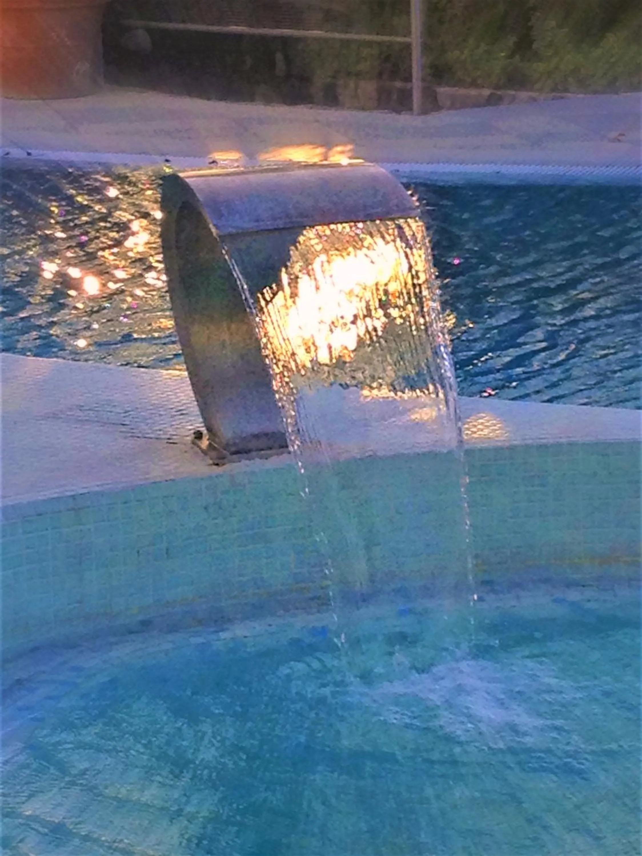 Garden in Hotel Myage