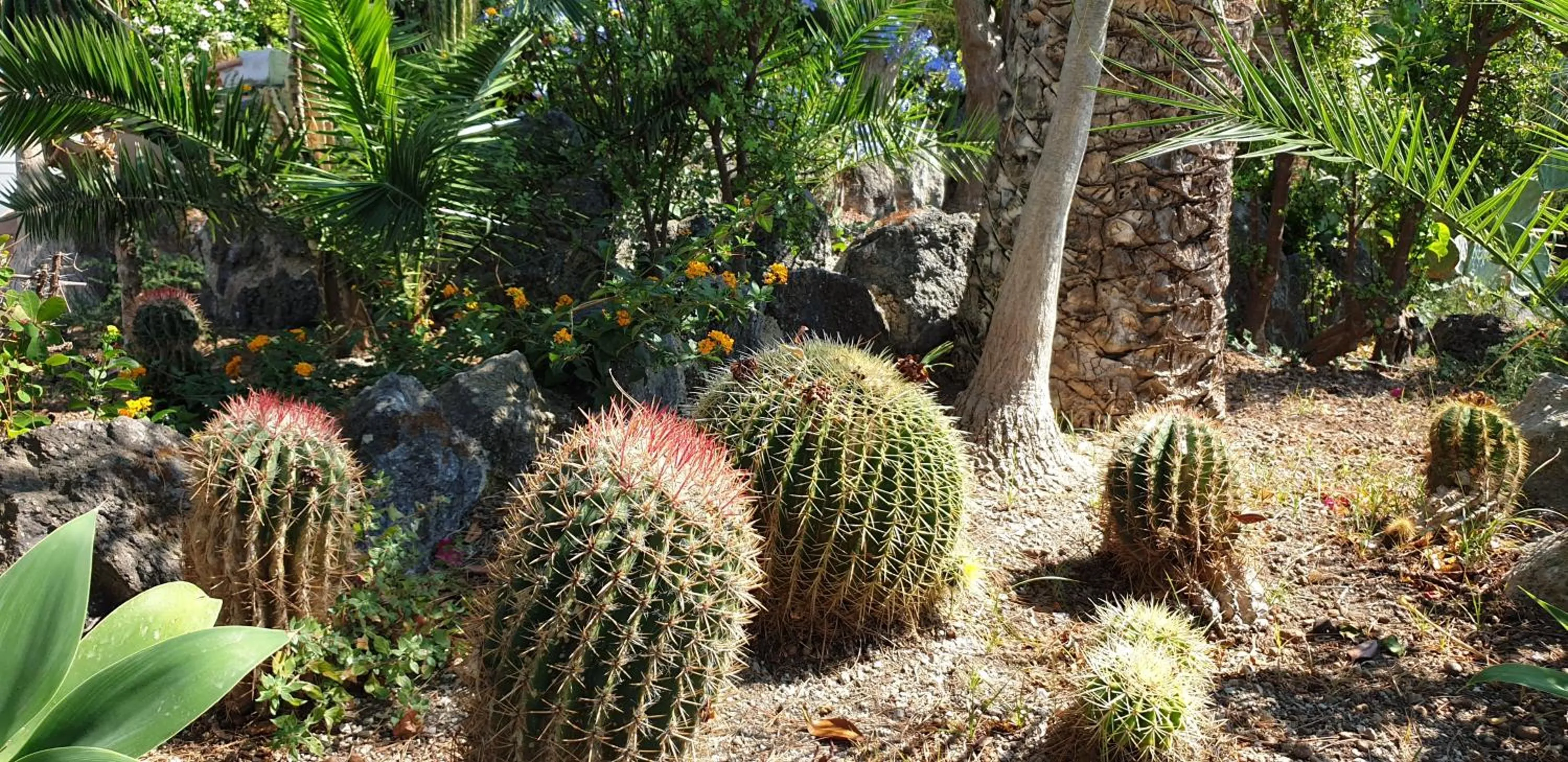 Property building in Hotel Myage