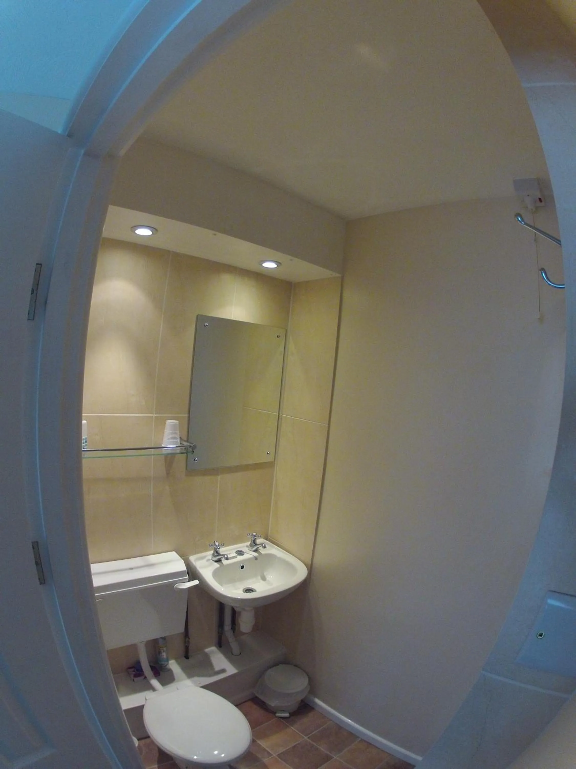 Toilet in Trevellis Bed and Breakfast