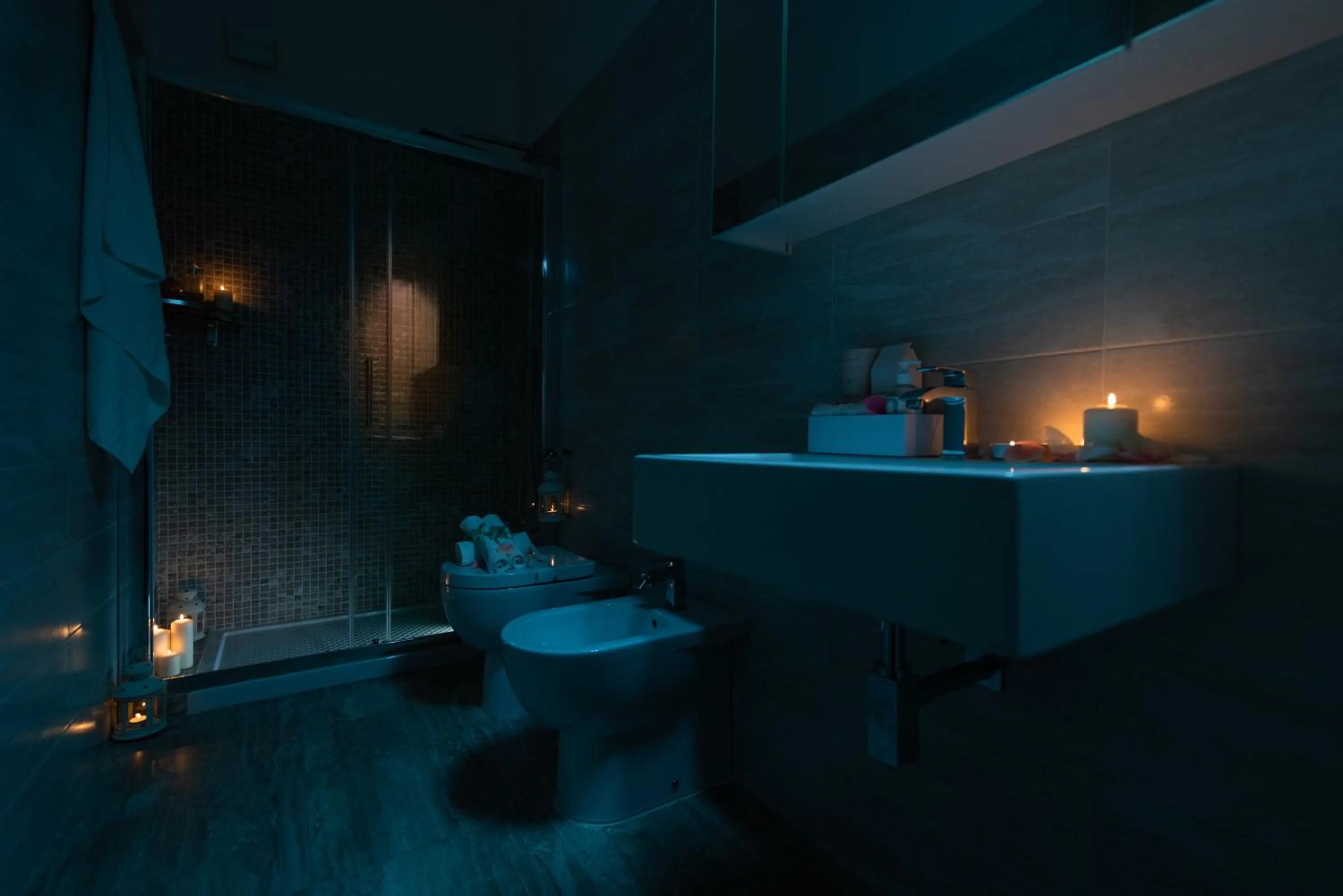 Bathroom in Roof Garden