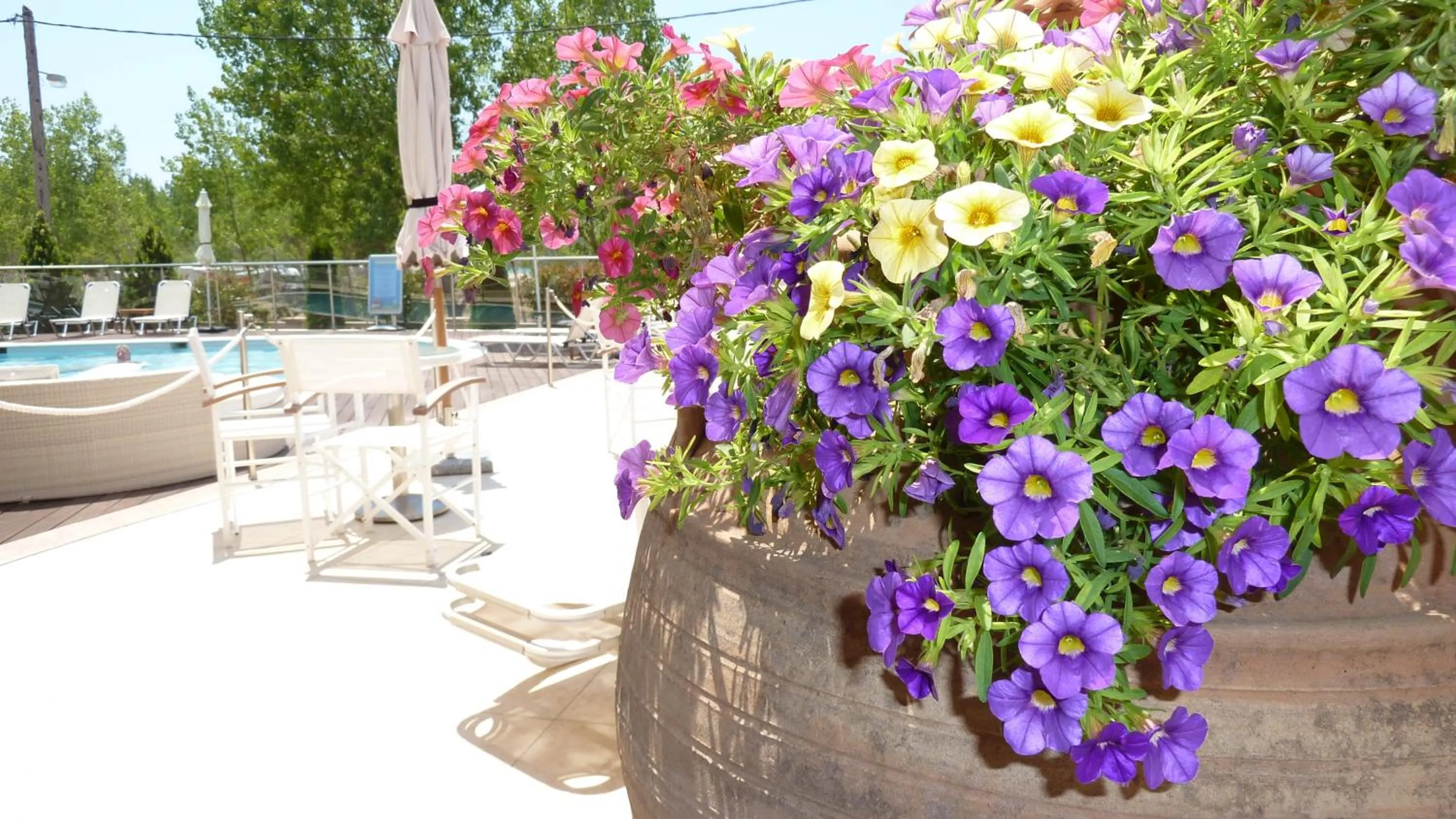 Area and facilities in Ammos Bay