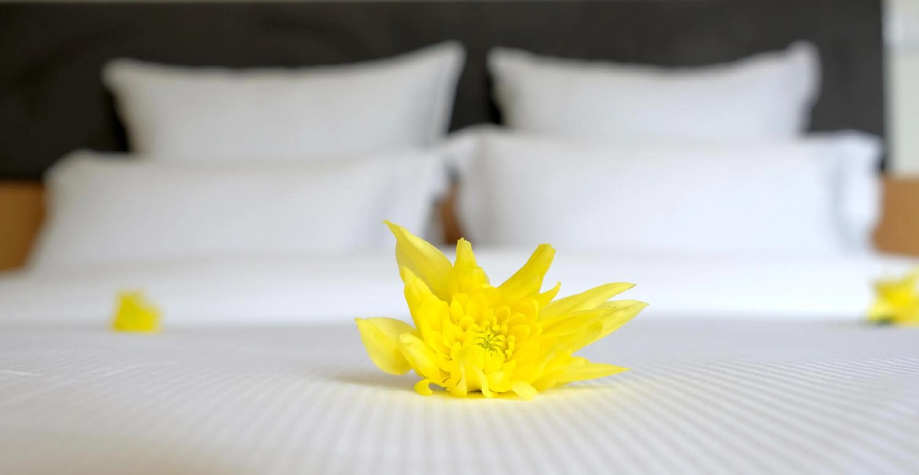 Bed in LETHESHOME Apartments