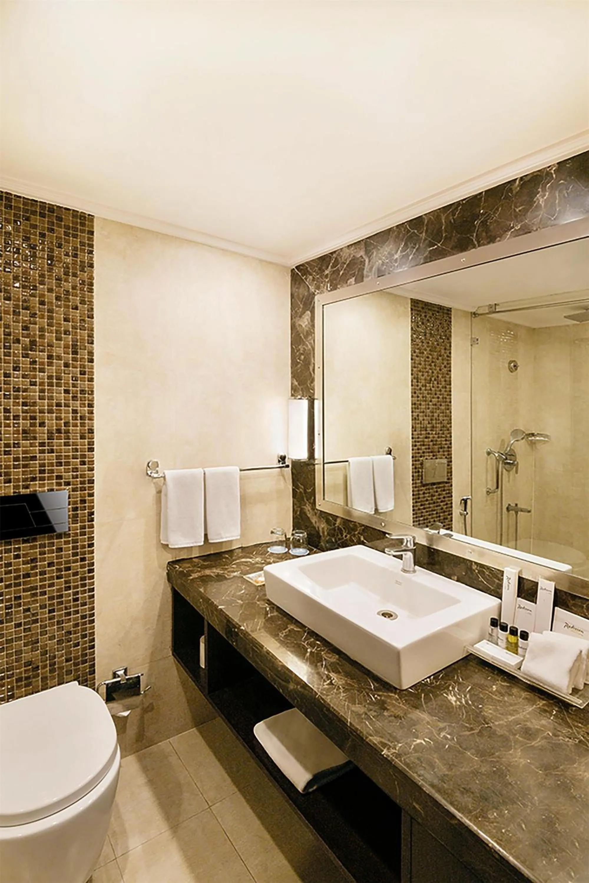 Bathroom in Radisson Jaipur City Center