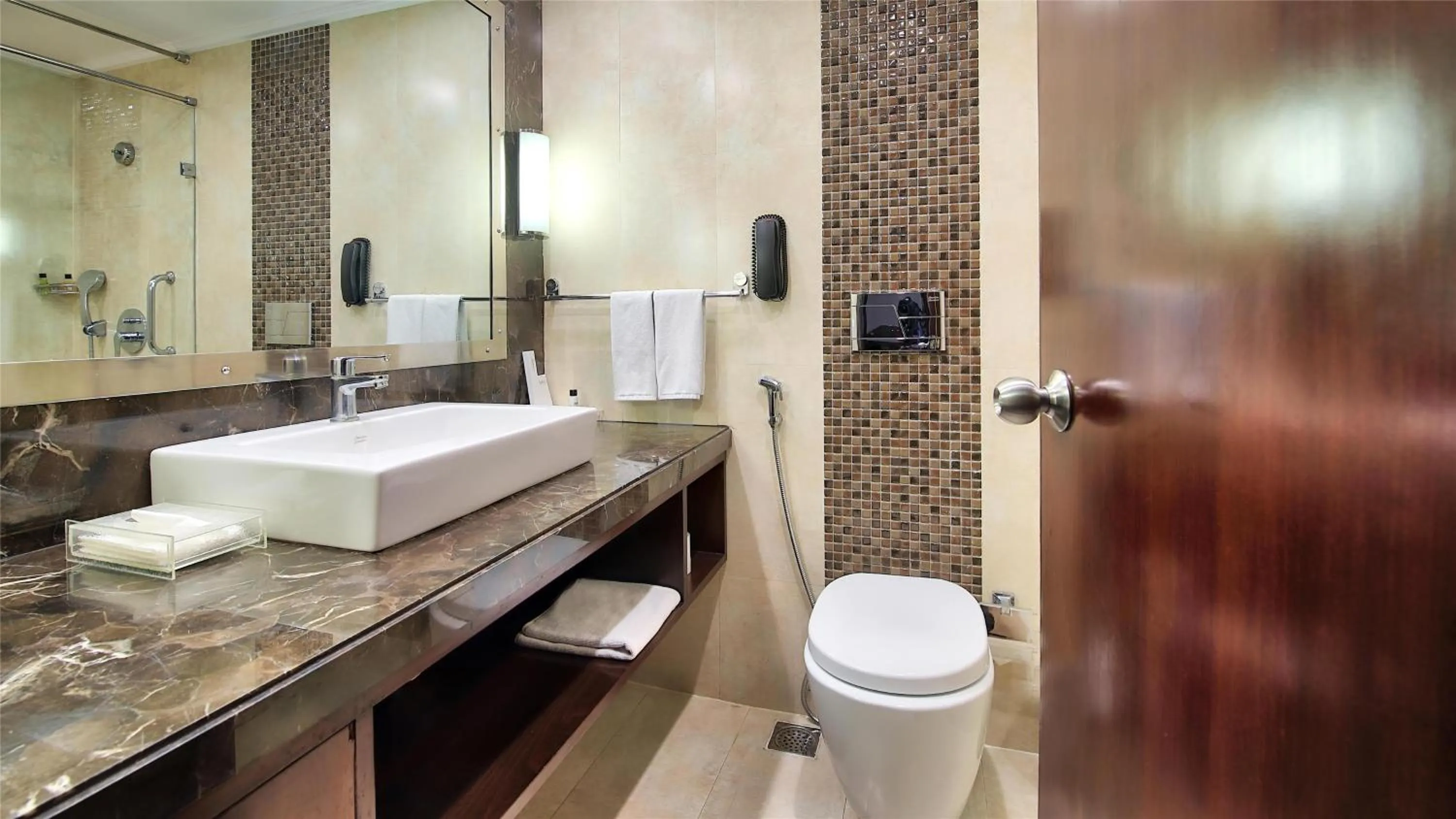 Bathroom in Radisson Jaipur City Center