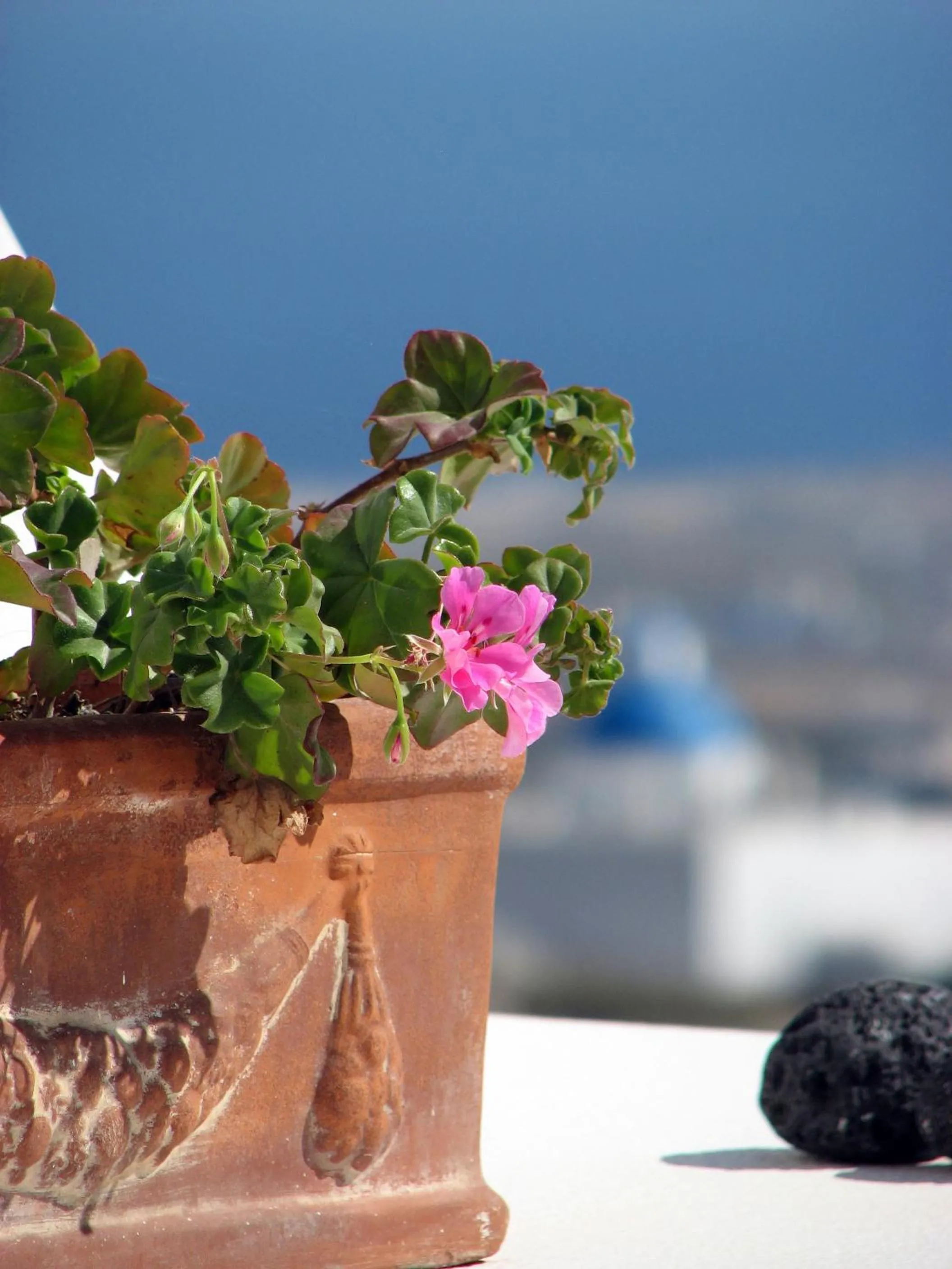 Decorative detail in Irida - Santorini