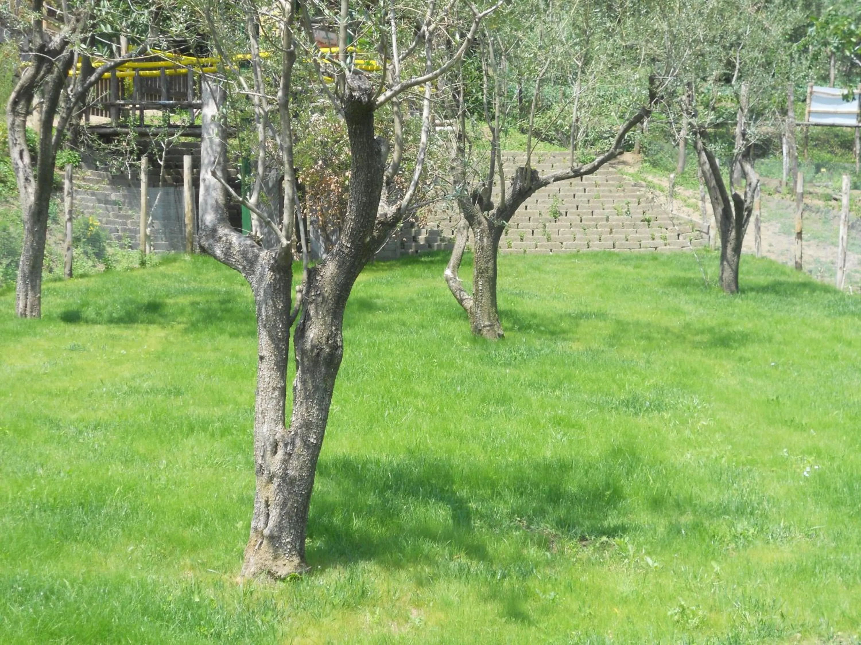 Children play ground in Agriturismo La Casa Del Ghiro