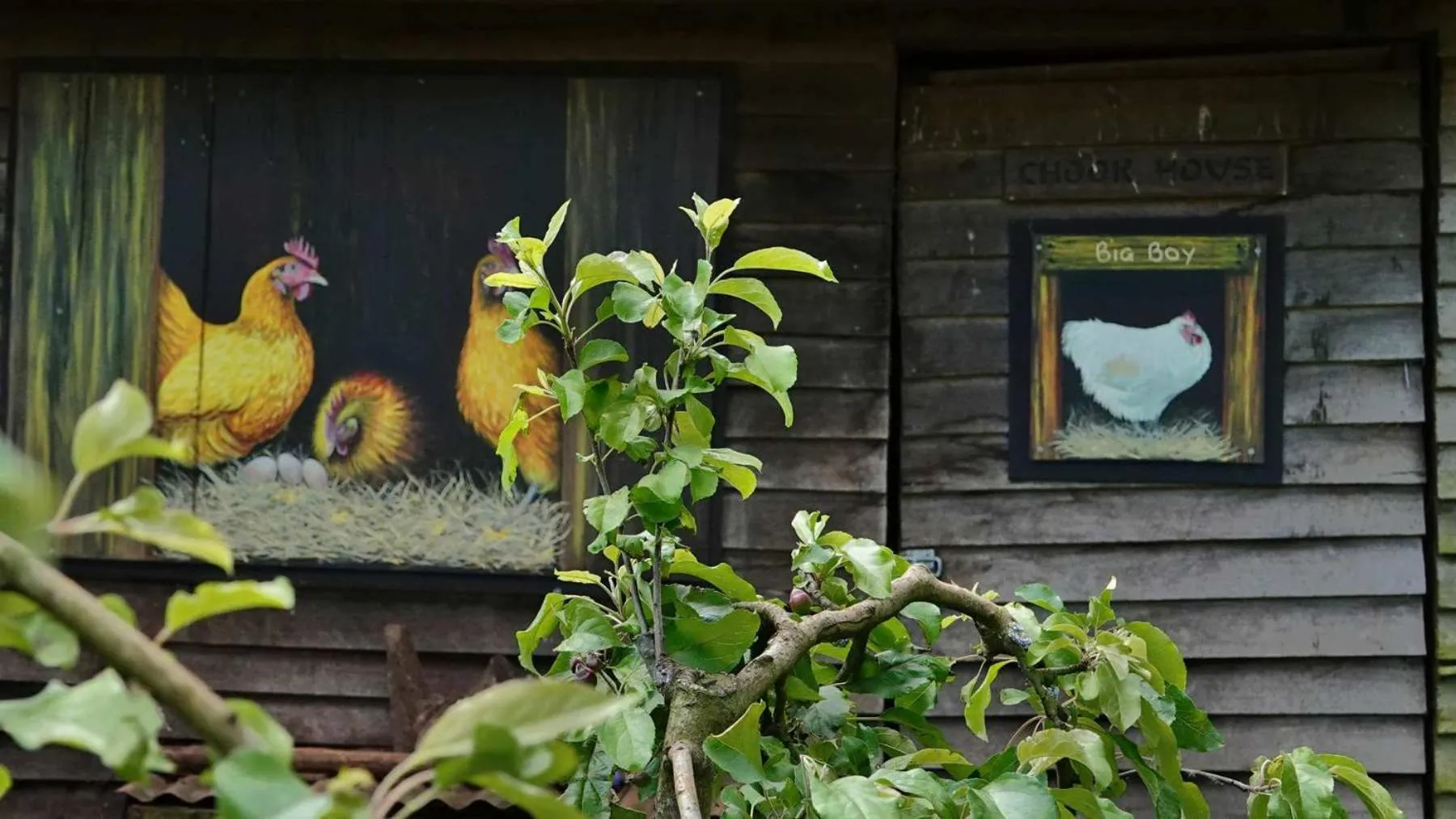 Garden view in Glencoe Country Bed and Breakfast