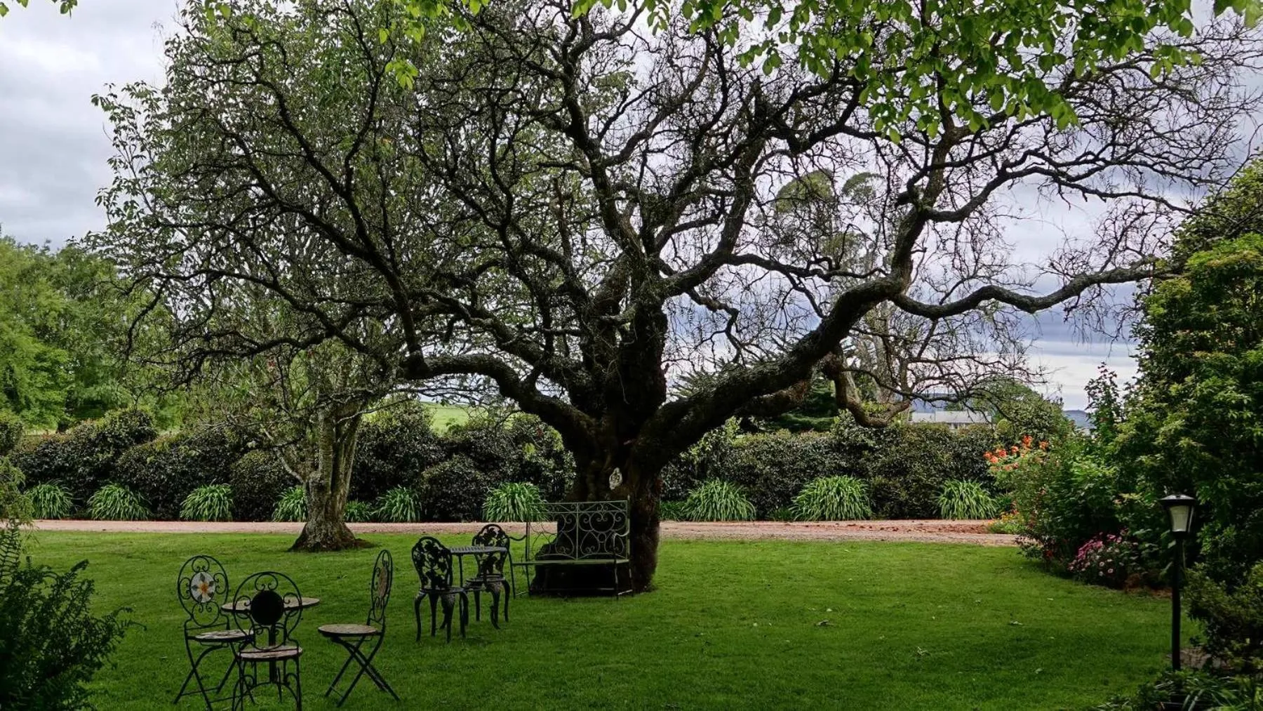 Natural landscape in Glencoe Country Bed and Breakfast