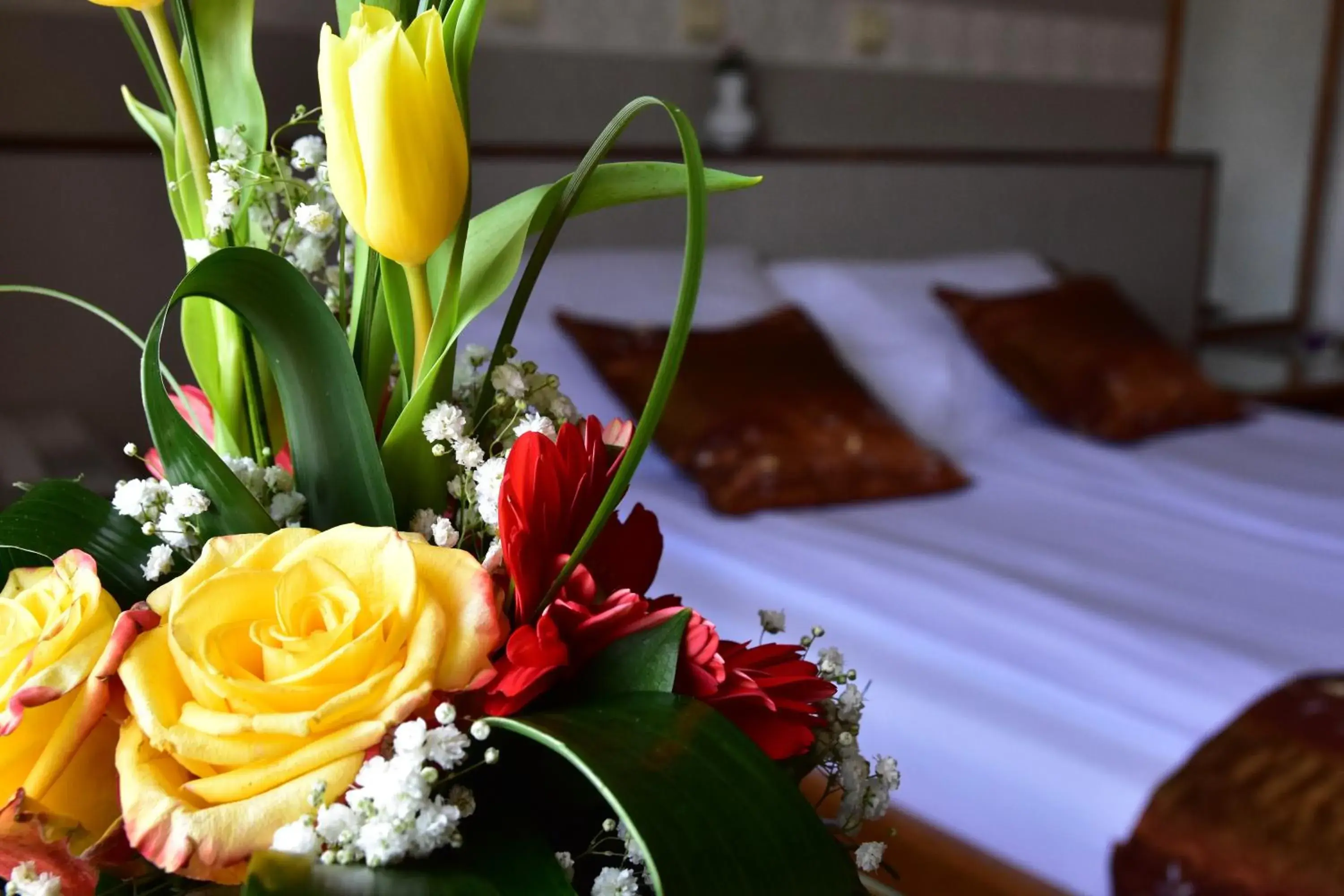 Photo of the whole room, Bed in Garni Hotel Lav Photo of the whole room, Bed in Garni Hotel Lav