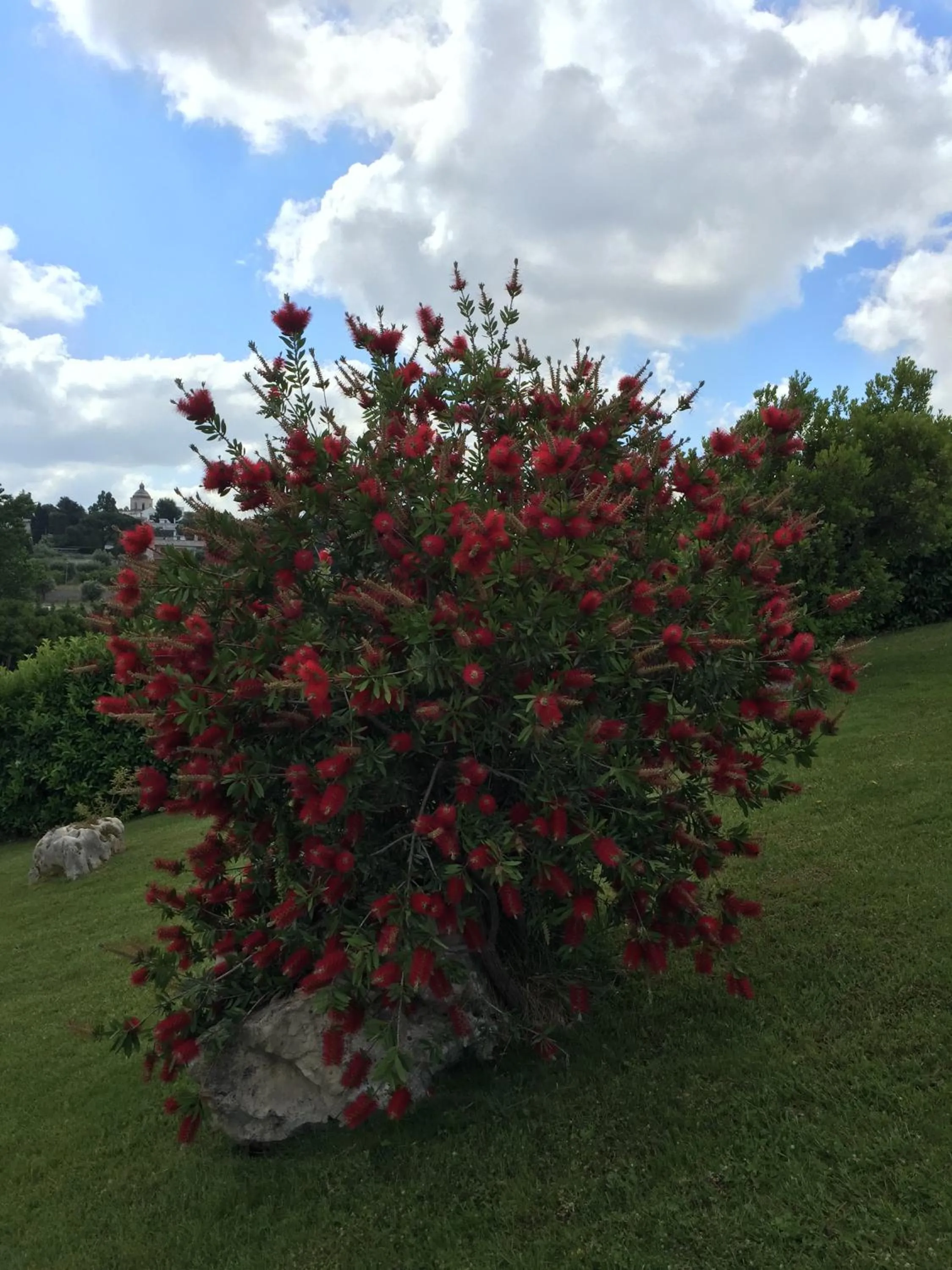 Garden in Relais Masseria Serritella