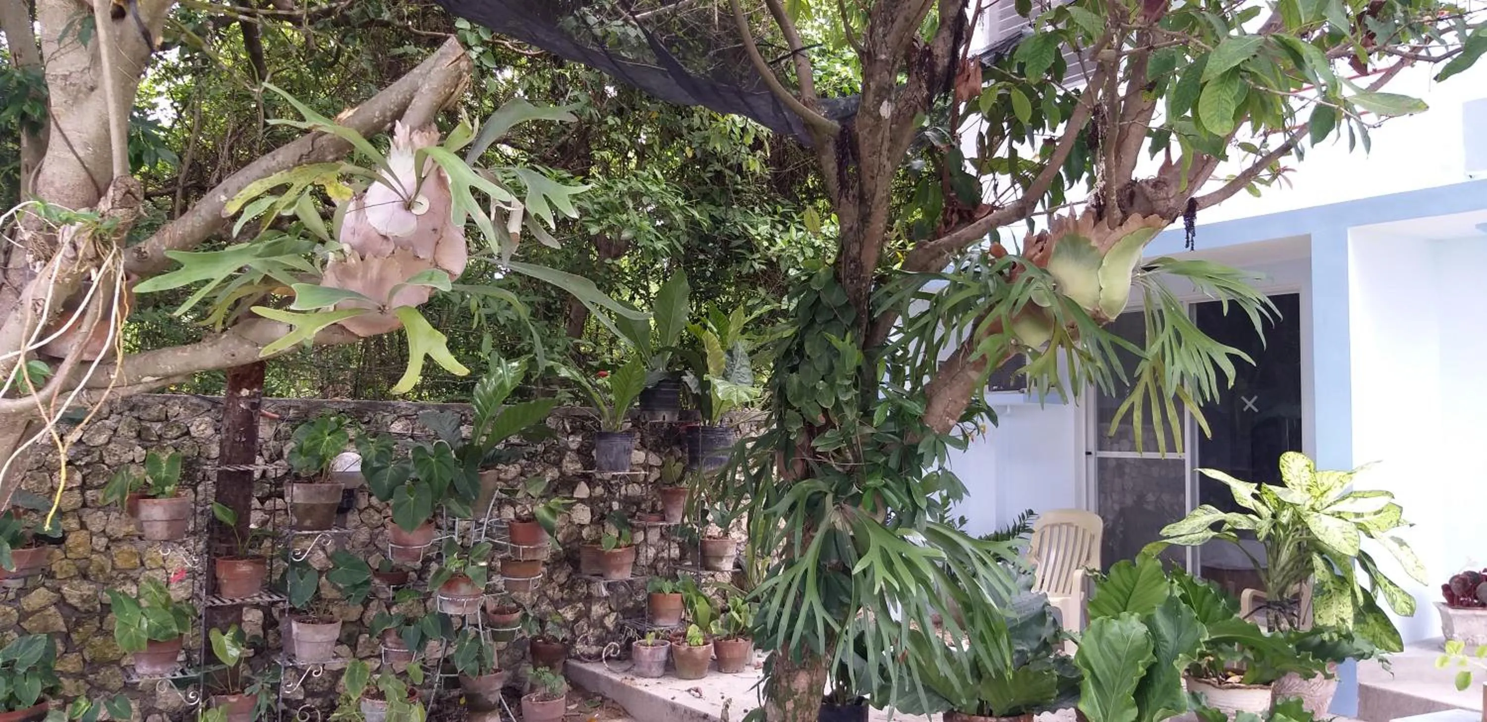 Facade/entrance in High Steps Pension