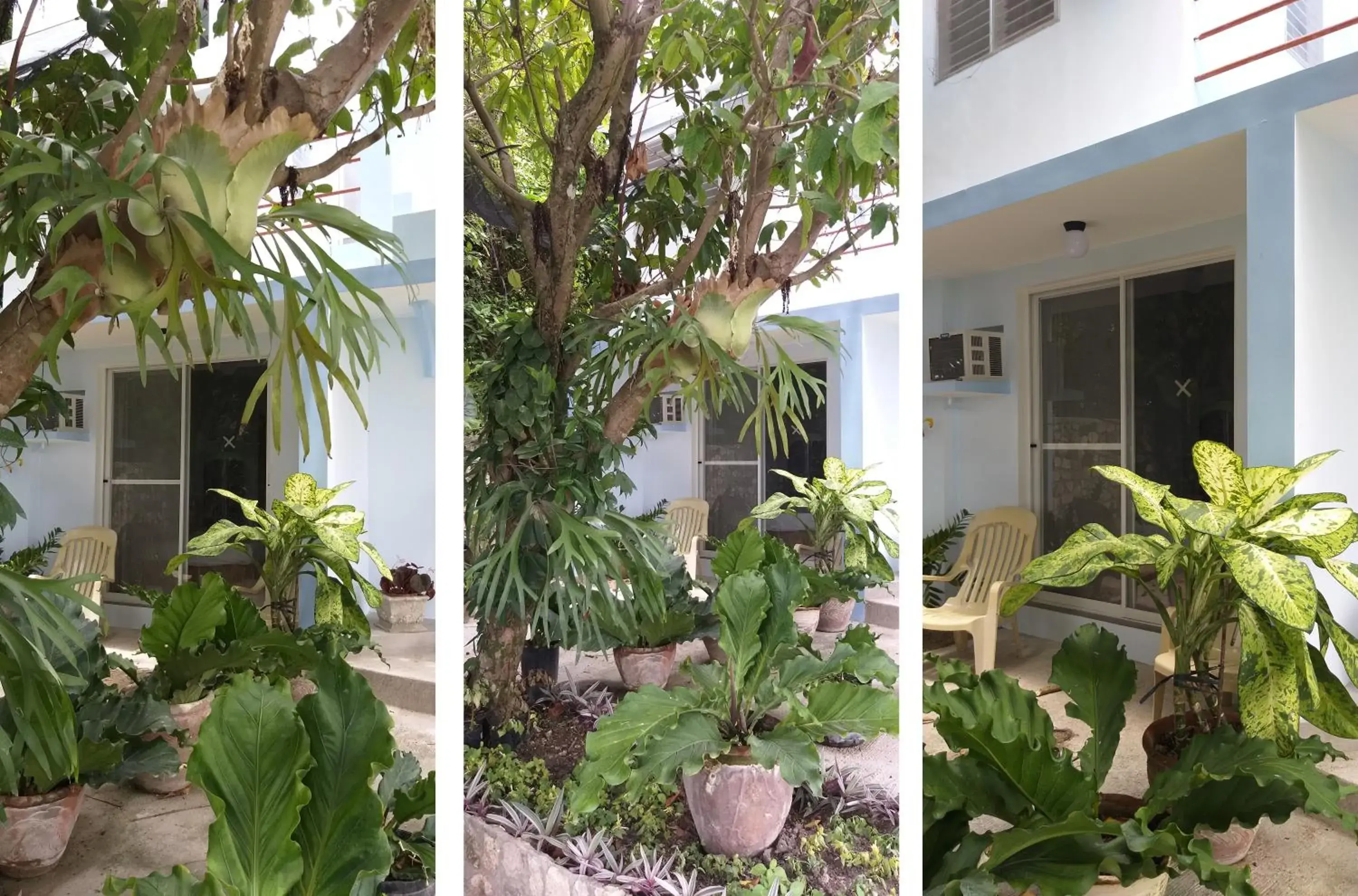 Facade/entrance in High Steps Pension Facade/entrance in High Steps Pension